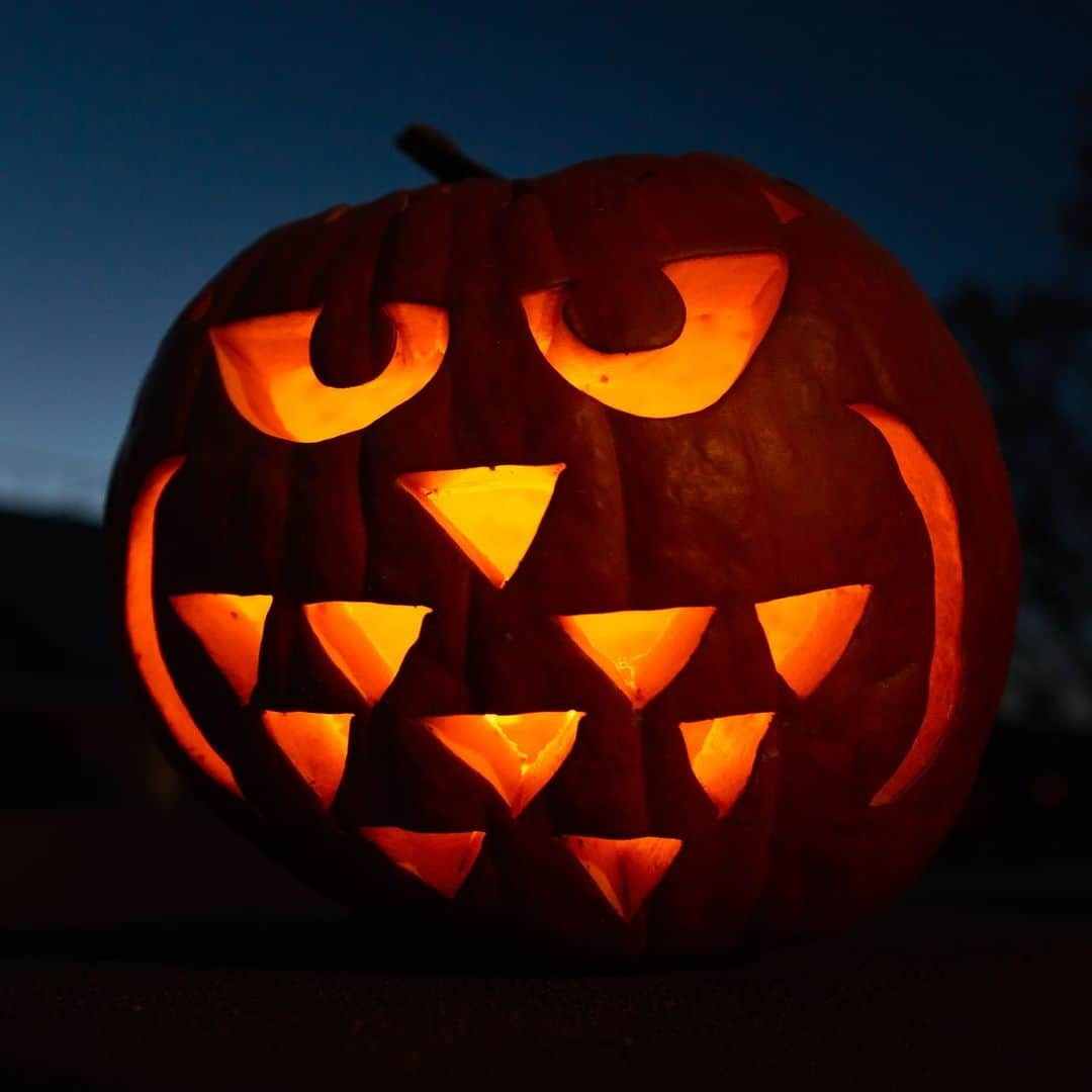 アニマルプラネットさんのインスタグラム写真 - (アニマルプラネットInstagram)「🦉 Are you carving an animal-themed Jack-o'-lantern this #Halloween? Show us in the comments!  📷: Csaba Tökölyi  #PumpkinSeason」10月31日 5時07分 - animalplanet