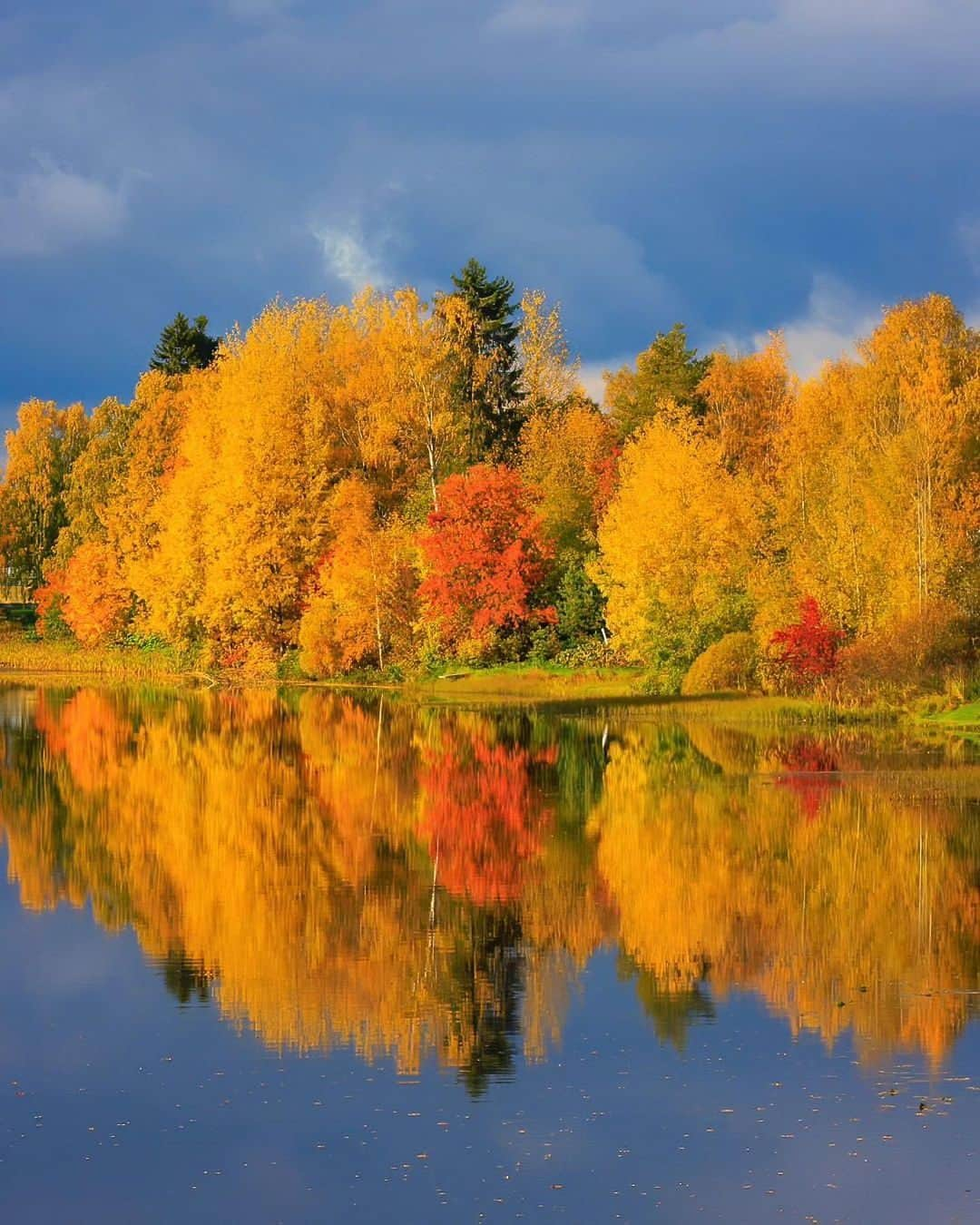 Wonderful Placesさんのインスタグラム写真 - (Wonderful PlacesInstagram)「Glorious fall colors in Finland by ✨@jukkarisikko✨😍🍁 Tag your friends 🥰💛 . 📍 Finland 🇫🇮  #wonderful_places for a feature 💛」10月31日 5時11分 - wonderful_places