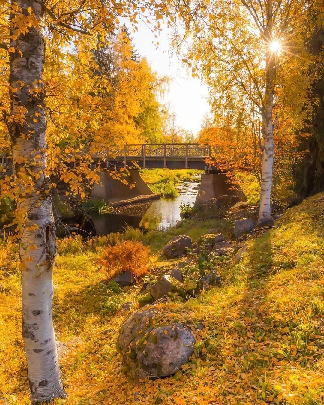 Wonderful Placesさんのインスタグラム写真 - (Wonderful PlacesInstagram)「Glorious fall colors in Finland by ✨@jukkarisikko✨😍🍁 Tag your friends 🥰💛 . 📍 Finland 🇫🇮  #wonderful_places for a feature 💛」10月31日 5時11分 - wonderful_places