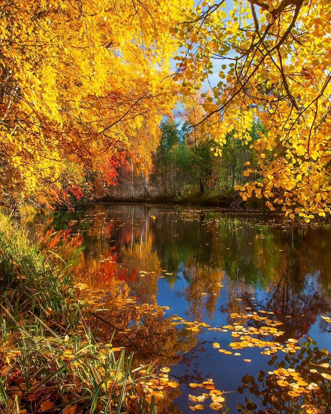 Wonderful Placesさんのインスタグラム写真 - (Wonderful PlacesInstagram)「Glorious fall colors in Finland by ✨@jukkarisikko✨😍🍁 Tag your friends 🥰💛 . 📍 Finland 🇫🇮  #wonderful_places for a feature 💛」10月31日 5時11分 - wonderful_places