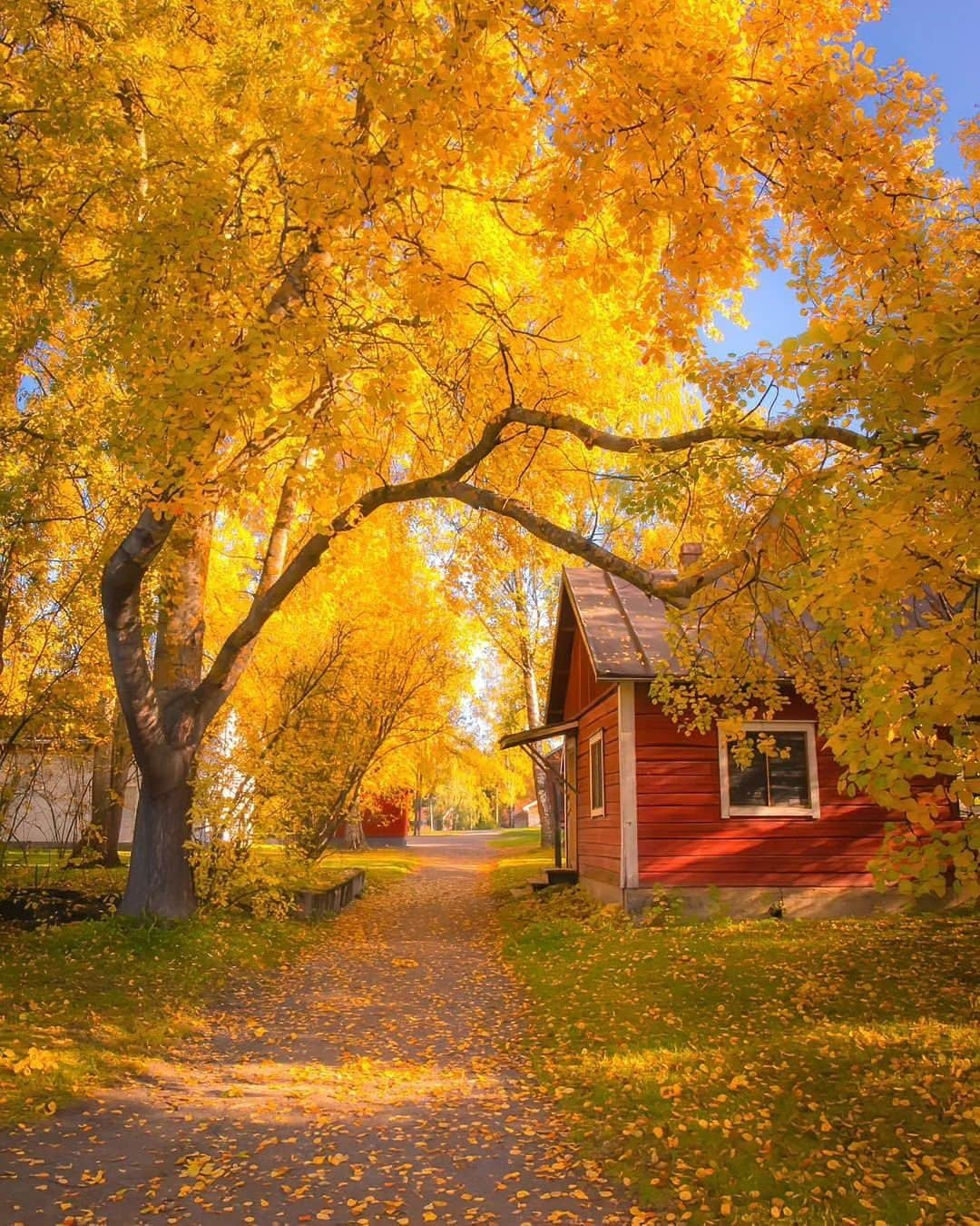 Wonderful Placesさんのインスタグラム写真 - (Wonderful PlacesInstagram)「Glorious fall colors in Finland by ✨@jukkarisikko✨😍🍁 Tag your friends 🥰💛 . 📍 Finland 🇫🇮  #wonderful_places for a feature 💛」10月31日 5時11分 - wonderful_places