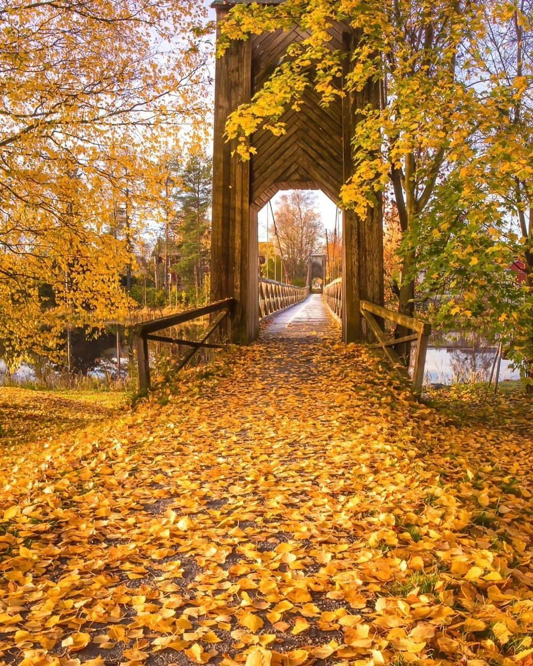 Wonderful Placesさんのインスタグラム写真 - (Wonderful PlacesInstagram)「Glorious fall colors in Finland by ✨@jukkarisikko✨😍🍁 Tag your friends 🥰💛 . 📍 Finland 🇫🇮  #wonderful_places for a feature 💛」10月31日 5時11分 - wonderful_places