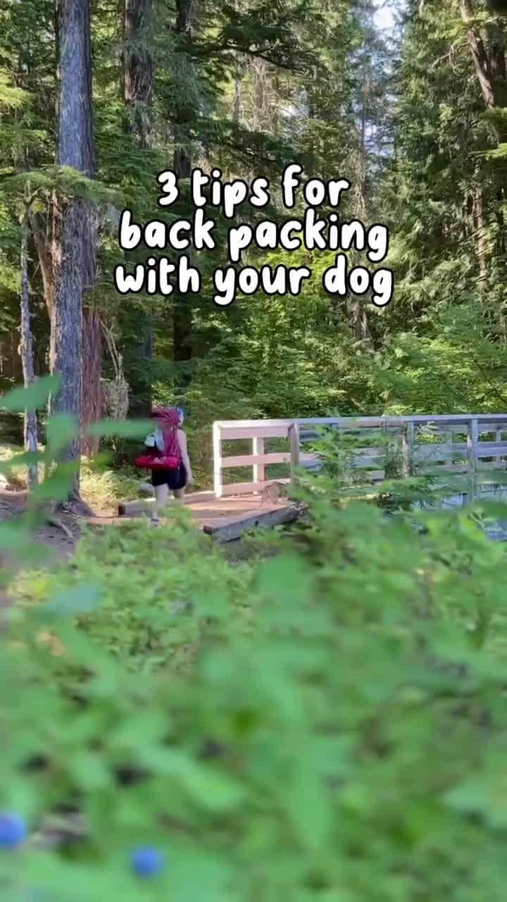 オスプレーのインスタグラム：「Want to get your four-legged friend in on the fun? Here's a reminder from #OspreyAmbassador @whereskaia on best practices while backpacking with your pup 🐾」