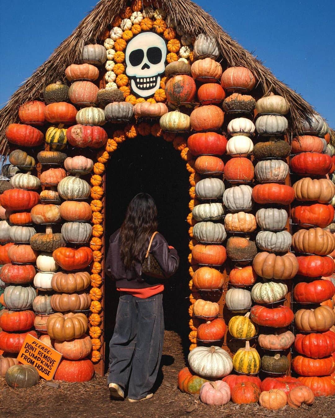 ジュリー・サリニャーナさんのインスタグラム写真 - (ジュリー・サリニャーナInstagram)「Quick stop at the pumpkin patch this weekend. Picked up some cute pumpkins for our little Halloween shoot with Matisse, can’t wait to share! 🎃   #pumpkin #pumpkinpatch #halloween」10月31日 5時46分 - sincerelyjules