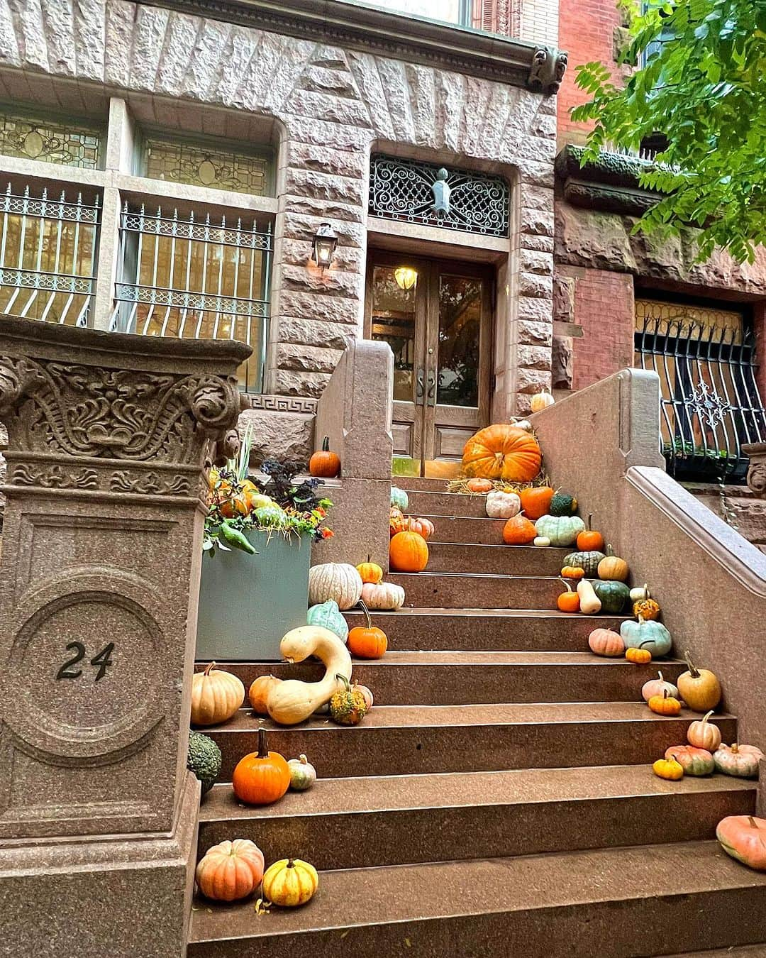 satoprimoさんのインスタグラム写真 - (satoprimoInstagram)「NYといったらストープ付きのタウンハウスかわい🧡🎃  #nyc #townhouse #gardenapartment」10月31日 11時41分 - satoprimo