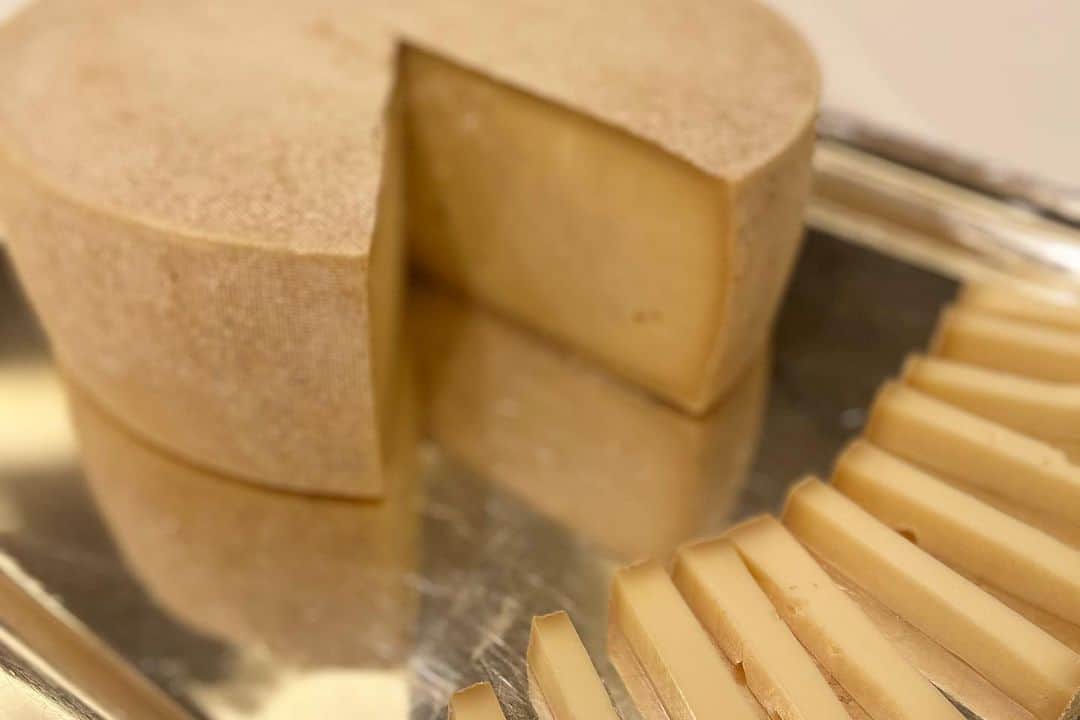 AYUMIさんのインスタグラム写真 - (AYUMIInstagram)「中央酪農会議主催 【ALL JAPAN ナチュラルチーズコンテスト】 が開催されました🧀✨  日本の全国各地で作られている国産ナチュラルチーズが集まり2日間に渡り審査がされます。私も審査員を務めさせていただきました  生産者さんたちの丁寧なチーズ作りに感銘を受けました 香りも味も、熟成も素晴らしい国産チーズがたくさん✨ 日本のチーズのクオリティがすごいことになっています  農林水産大臣賞を受賞したチーズの評価は全ての審査員 が満点をだし会場がどよめきましたよ👏✨  チーズにはフレッシュタイプや白カビ、ウォッシュ、シェーヴル、青カビ、パスタフィラータ、ハード、ホエイなど色々な特徴のチーズがあります  その中で同じようなチーズに見えても、作り手や熟成期間 などによりそれぞれ個性ある味わいになっています  日本中で様々な美味しい国産チーズが作られていますので ぜひ各地のチーズ、色々なタイプのチーズを楽しんでみてください🧀✨  #中央酪農会議　　 #第14回 #ALLJAPANナチュラルチーズコンテスト #ナチュラルチーズコンテスト #チーズ　#国産チーズ #ナチュラルチーズ #おいしいチーズ」10月31日 6時29分 - ayumiayunco