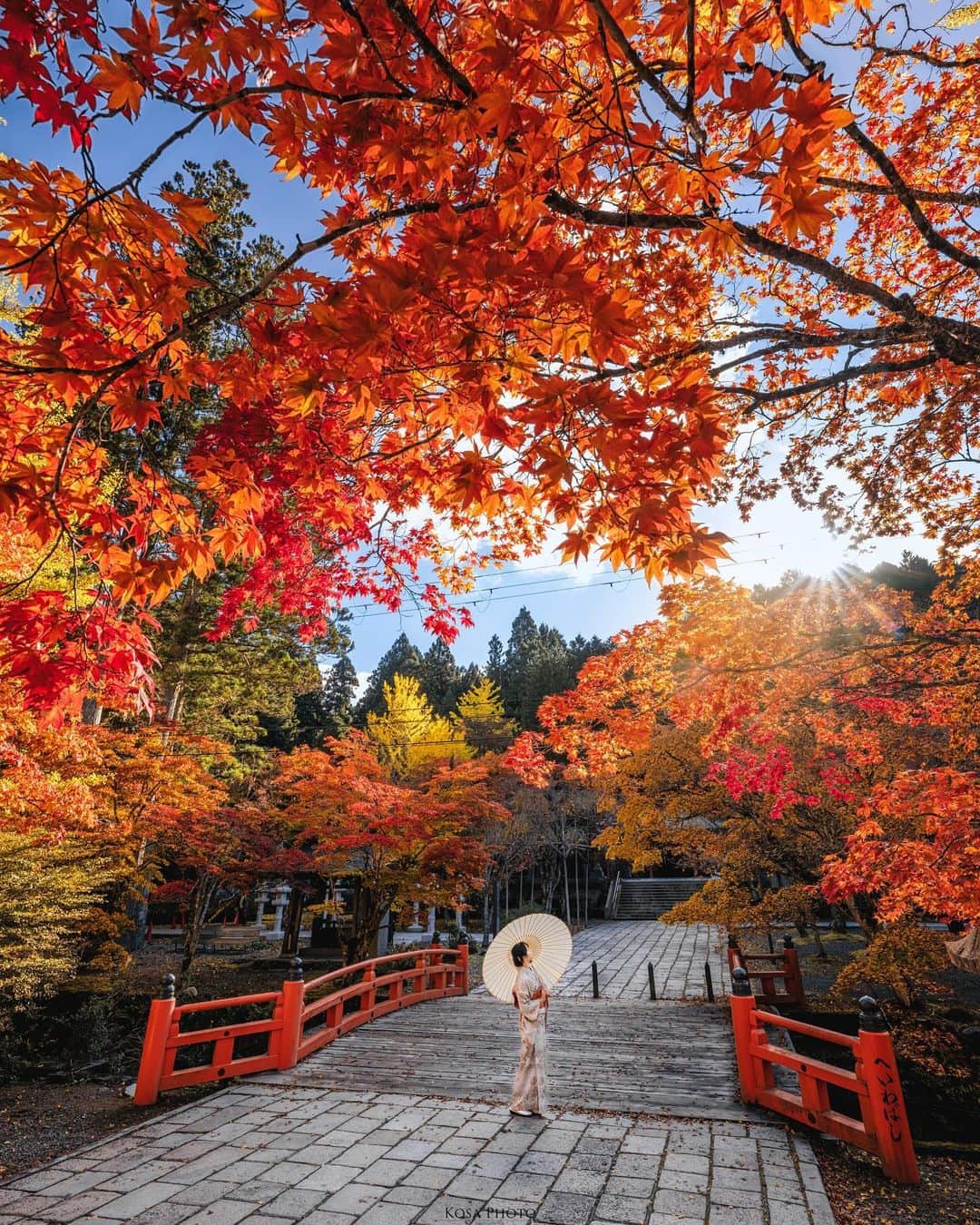 コサのインスタグラム：「紅葉スタート  高野山はもう紅葉が見頃を迎えていました😍 色々と情報を頂いてたおかげで、今年は良いタイミングで行けました👍 . Location:和歌山 Wakayama /Japan🇯🇵 Date:2023年10月 in frame: @chami_2nd Camera:Z9 / Z 14-24mm f2.8 SpecialThanks:@mika.f1217 . #高野山 #Japan_Daytime_View #紅葉 #japancityblues #jp_portrait_collection #ポトレファン倶楽部 #ポトレ撮影隊 #jp_mood #jp_portrait部 #clv_galerie #mf_landscape #invisible_cool_part #m_v_shotz #bestjapanpics #Lovers_Nippon #japan_waphoto #raw_japan #deaf_b_j_ #japan_best_pic #japan_bestpic_ #tokyocameraclub #art_of_japan_ #jgrv_member #team_jp_ #photo_jpn #sorakataphoto #LBJ_KING #じゃびふる #広がり同盟メンバー #special_spot_legend」