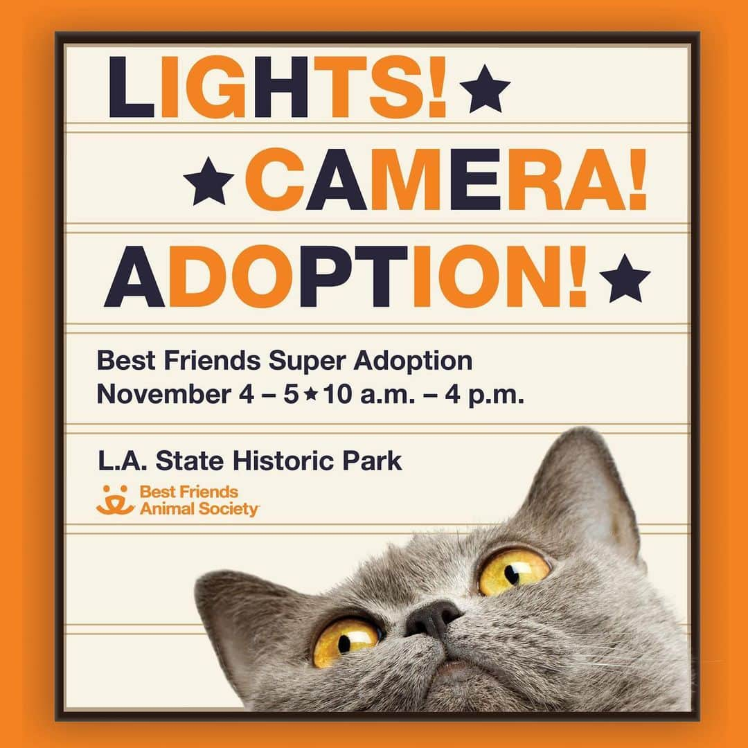 カット・デニングスのインスタグラム：「THIS WEEKEND - Best Friends Super Adoption is back and there will be hundreds of adorable dogs and cats from dozens of local shelters and rescue groups waiting to be given loving homes. This Saturday and Sunday, November 4th and 5th from 10am-4pm at Los Angeles State Historic Park, 1245 N. Spring Street, in the heart of L.A. I love this group so much for what they do to save them all. To learn more, go to bfas.org/super 🩵🐾 #Nokill2025 #SaveThemAll #SuperAdoption」