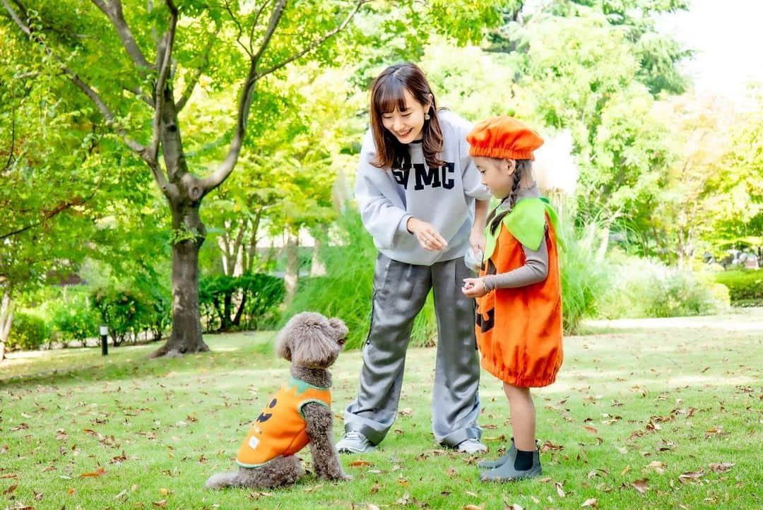 菊井彰子さんのインスタグラム写真 - (菊井彰子Instagram)「・ 【今日はハッピーハロウィン👻】  お菓子ちょーだいな🍭✨  ママ友であり👧👦 ワン友でもある🐶🐶 @amitokito ちゃんもおすすめのわんちゃんのお洋服🎃  モチモチで気持ちいい肌触り。 @montresor_officialshop   たまたま娘のコスも持っていたのでポンスケと ハロウィンコラボできちゃった🫶👻🎃  最後ひょっこりと母も🫢  ・ ・ ・ ・ #犬服montresor #犬と子供  #ハロウィン仮装　 #ハッピーハロウィン🎃  #犬仮装ハロウィン　 #4yearsold  #4歳女の子  #犬のいる暮らし  #犬と子供  #トイプードル男の子  #トイプードル部  #トイプードルブラウン男の子」10月31日 7時16分 - yanakiku_kiku