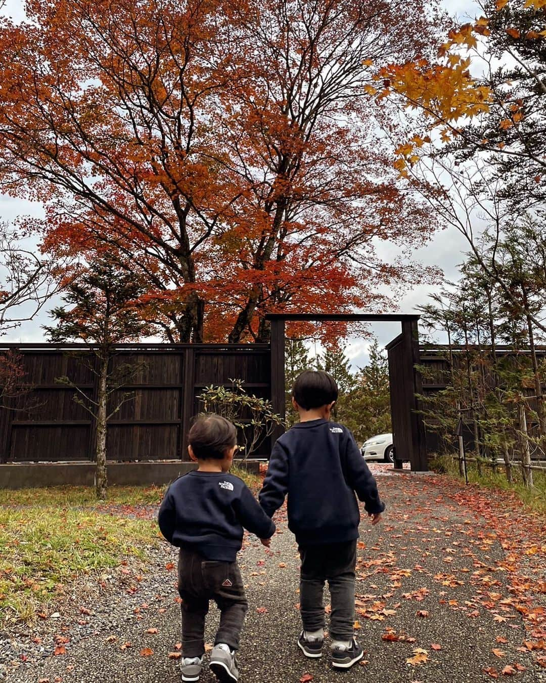 田中麻衣さんのインスタグラム写真 - (田中麻衣Instagram)「さわがしい日々ですが... 本当にかわいくてかわいくて。  #年子兄弟」10月31日 7時52分 - maitanaka1217