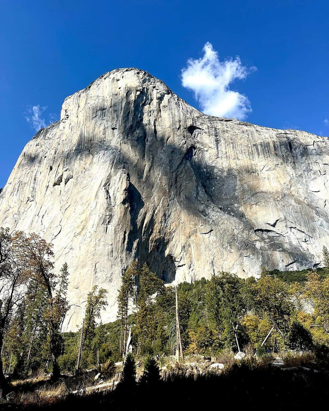 コートニー・コンローグさんのインスタグラム写真 - (コートニー・コンローグInstagram)「A few moments and captures from my first trip to Yosemite 🏕️🏔️🧗‍♀️ we stayed in the OG climbers camp (Camp 4) too which was really rad!」11月1日 4時00分 - courtneyconlogue