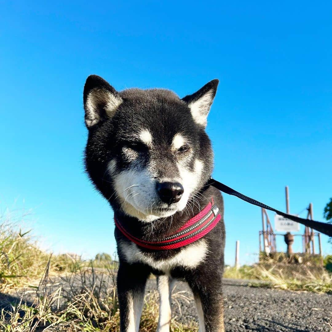 小川博永のインスタグラム