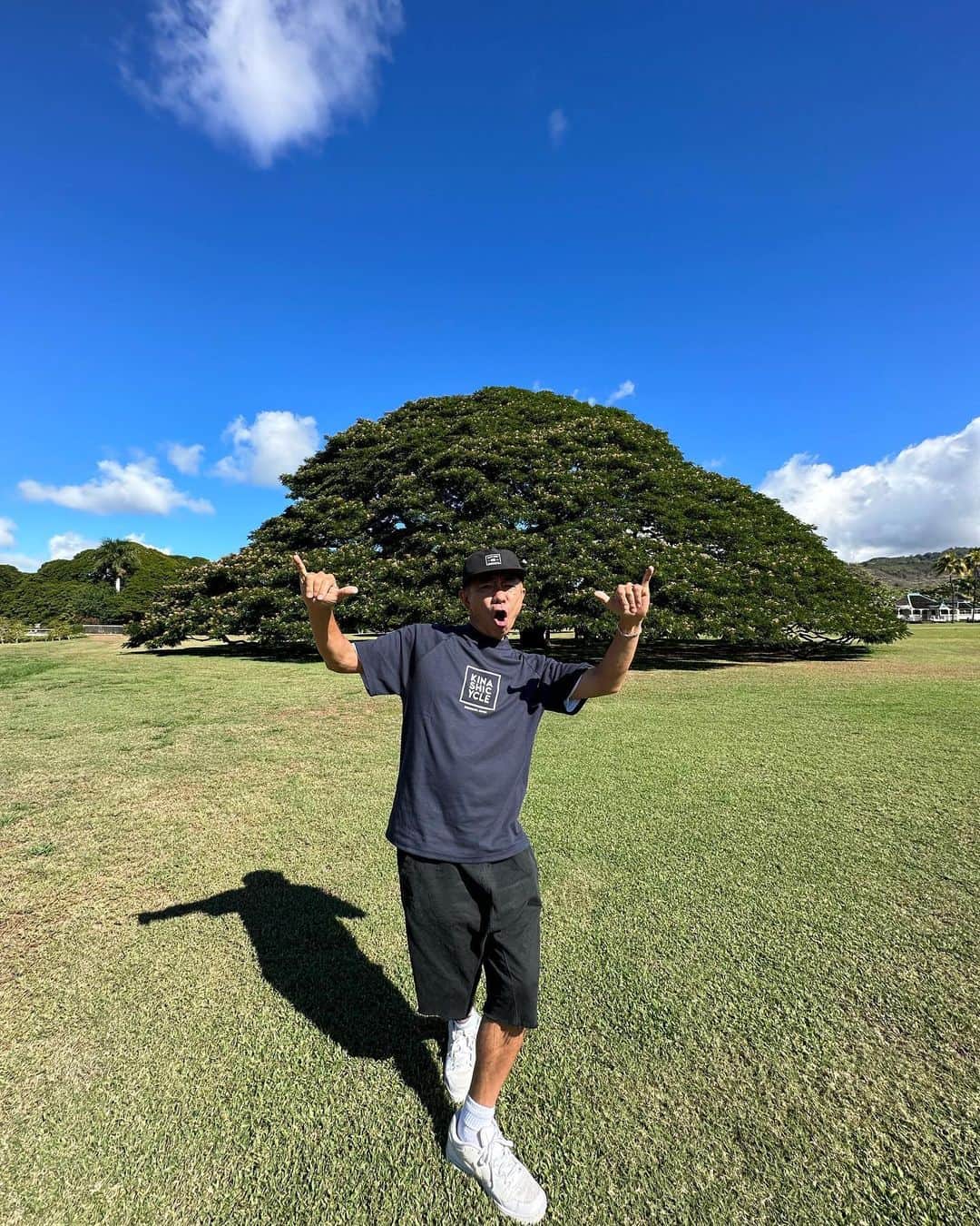 木梨憲武さんのインスタグラム写真 - (木梨憲武Instagram)「この木なんの木　気になる木ですから！エネルギーやで！生命力やで！」10月31日 8時27分 - noritakekinashi_official