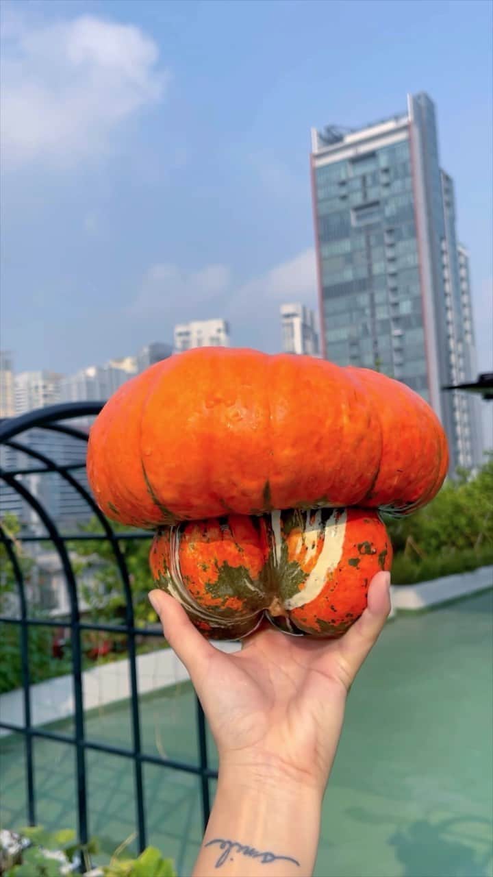 Amata Chittaseneeのインスタグラム：「🎃👻 Wishing you a spook-tacular Halloween filled with thrills and chills! #halloween #halloween2023 #pearypieskygarden」