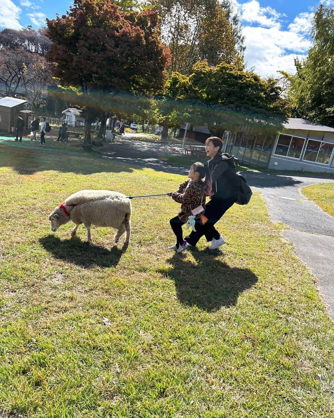 中村明花さんのインスタグラム写真 - (中村明花Instagram)「. ハッピーハロウィン🎃 先週末は #伊香保グリーン牧場 に行ってきました。 ⁡ 仮装をしていたら小学生以下の子は入場無料期間だったので、仮装していったよ♪ ⁡ 色々な体験ができる中で、初めてやったのが〝羊のお散歩🐏〟。 いやー、羊の力の強さにビックリ！！ 草を食べ出してお散歩にならないかと思えば、急に走りだして大人まで振り回されたりで大笑いでした(笑) なかなかできない体験で楽しかったです😂 （ヤギのお散歩もできるから、子供だけで手綱を持ちたかったらヤギがオススメ） ⁡ お山が綺麗に見える日でとっても見晴らしも良かったよ⛰️ 動物にも自然にも癒されました♡ ⁡ 夜は #華蔵寺遊園地 で〝おばけと踊ろうハロウィンナイト〟というイベントをしているとのことで行ってみました♪ 乗り物も乗って、おばけ達とも踊って、充実した一日になりました👻🎡 . ⁡. #動物大好きな子供たち だけど #牧場で１番ハマってたのはアーチェリー 😂 #群馬生活 #群馬観光 #martweekender  #家族で過ごす週末 #ときめく週末 #雑誌Mart ⁡」10月31日 9時24分 - sayaka_nakamura3