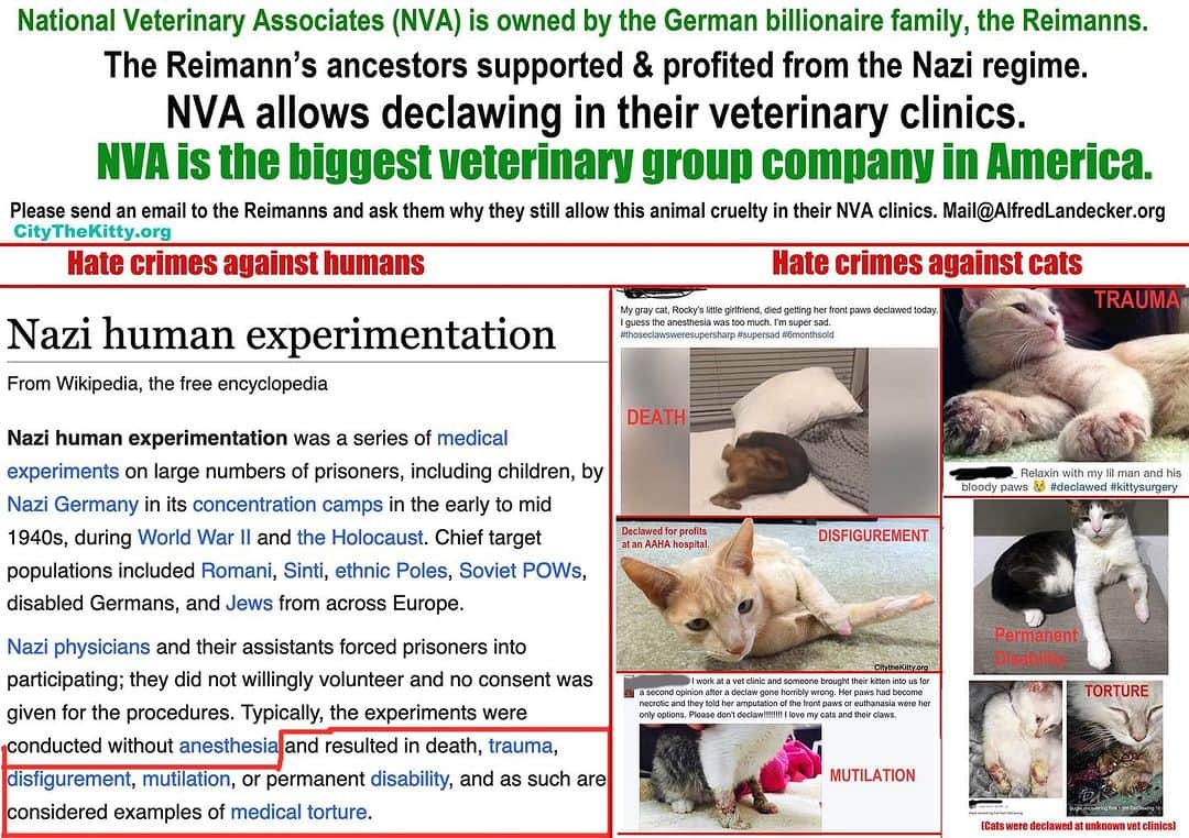 City the Kittyのインスタグラム：「Why is @nvapets still allowing declawing in their vet clinics? 😾😾😾😾😾🐾 Did their German owners, the Reimanns, not learn from their past? 😾😾😾😾😾😾  Please send an email to them and ask them why they still allow declawing in NVA vet clinics. Mail@alfredLandecker.org   you can also ask NVA here on their insta profile  @nvapets   #dotherightthing #nvapets#nvacommunity」