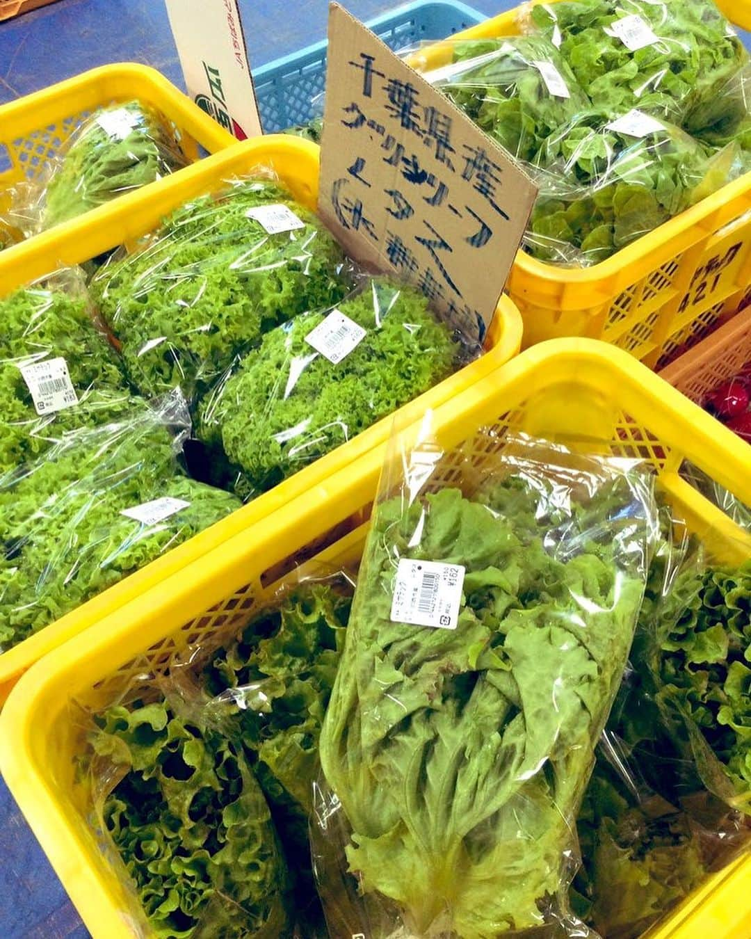 道の駅やちよのインスタグラム：「お野菜高騰中に嬉しいお買い得！ 小松菜108円〜(茹でてごま油、胡麻、お醤油でナムル風がオススメ) リーフレタス類162円〜 その他、秋の‼️とうもろこし🌽や 旬のすだちに国産レモン🍋など✨  是非お買い求めください🙇‍♀️  #道の駅やちよ #国産レモン #小松菜レシピ #とうもろこし #道の駅 #道の駅めぐりり #地産地消 #農産物直売所 #新鮮野菜 #野菜好き #野菜たっぷり #買い物 #八千代市 #千葉県  #休憩 #やちよ農業交流センター」