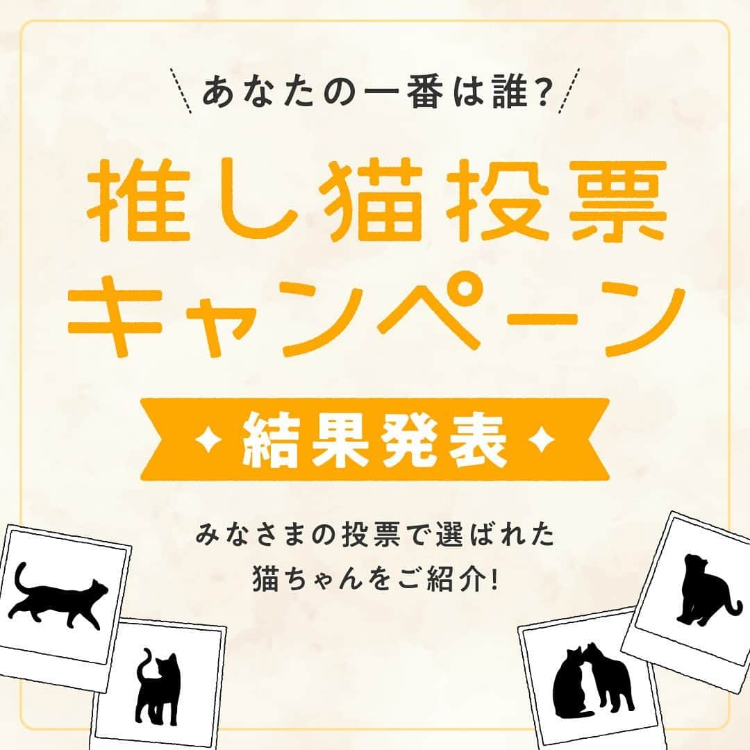 コスモウォーター【公式】のインスタグラム：「8月25日～27日の3日間、「コスモウォーター」と「ねこにすと」がコラボでお届けする“幸せなにゃんこ写真展”を開催いたしました🐈  会場では、お気に入りの猫ちゃんに投票できる「推し猫投票キャンペーン」を実施！ 本日は、合計210枚の幸せなにゃんこ写真の中から投票で選ばれた上位12枚のお写真をご紹介します👏✨  また、投票で上位12位に選ばれたお写真は、2024年のコスモウォーターオリジナル「推しねこ卓上カレンダー」に掲載📅  「推しねこ卓上カレンダー2024」は、ねこにすとショップ（https://neko-nist.shop/）でご購入いただけます😻  ご購入をご希望の方は「ねこにすとショップ」で検索ください！  ———————————— ※応募者の中から抽選で選ばれた100名様と上位12位の猫ちゃんの飼い主様には、カレンダーをプレゼントいたします。 ※当選発表は、当選者への賞品発送をもってかえさせていただきます。（10月下旬予定） ————————————  #コスモウォーター #コスモウォーターのある暮らし #ウォーターサーバー #ウォーターサーバーのある生活 #天然水 #美味しい水 #QOL向上 #生活の質 #ていねいな暮らし #シンプルな暮らし #水分補給 #暮らしを楽しむ #暮らしのアイデア #新生活グッズ #新婚生活 #子育て #赤ちゃんのいる生活 #こどものいる暮らし #暮らしを便利に #子育てママ #猫 #コスモウォーターにゃんモデル2023 #ねこ #猫写真 #ねこにすと #ねこすたぐらむ #ねこのいる生活 #ねこ部 #ねこのきもち#カレンダー」