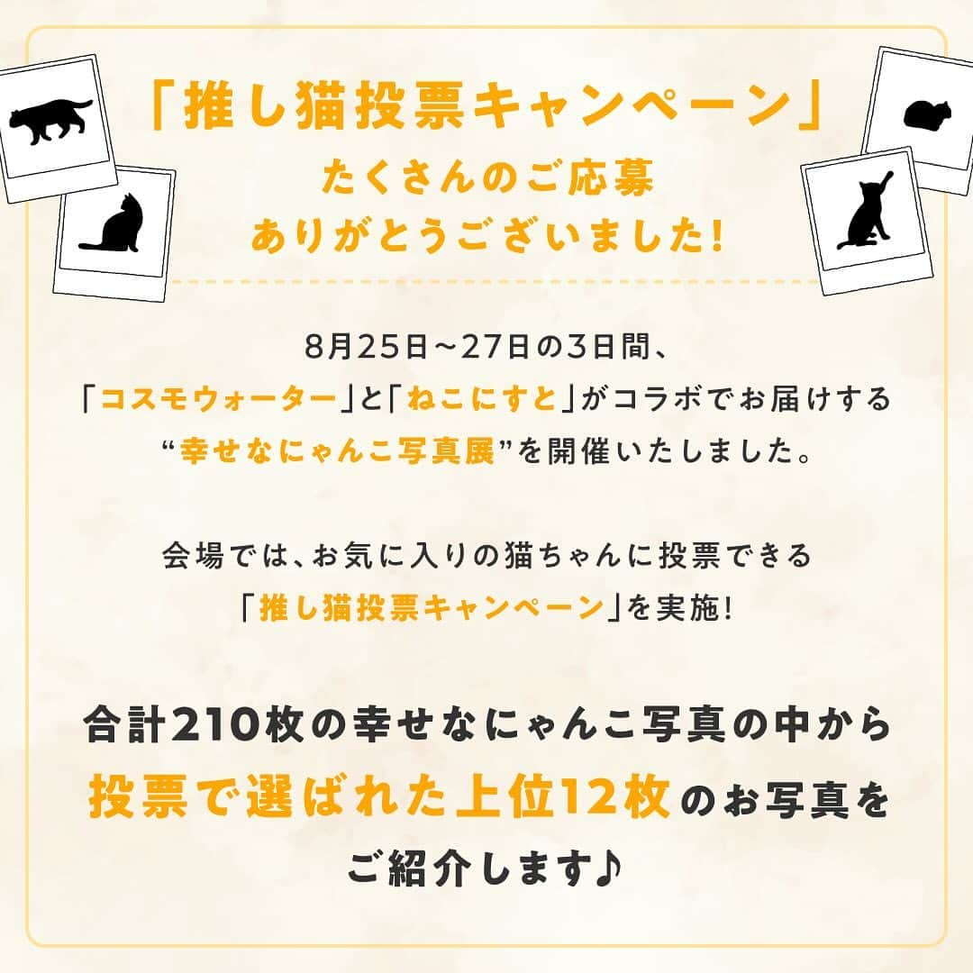 コスモウォーター【公式】さんのインスタグラム写真 - (コスモウォーター【公式】Instagram)「8月25日～27日の3日間、「コスモウォーター」と「ねこにすと」がコラボでお届けする“幸せなにゃんこ写真展”を開催いたしました🐈  会場では、お気に入りの猫ちゃんに投票できる「推し猫投票キャンペーン」を実施！ 本日は、合計210枚の幸せなにゃんこ写真の中から投票で選ばれた上位12枚のお写真をご紹介します👏✨  また、投票で上位12位に選ばれたお写真は、2024年のコスモウォーターオリジナル「推しねこ卓上カレンダー」に掲載📅  「推しねこ卓上カレンダー2024」は、ねこにすとショップ（https://neko-nist.shop/）でご購入いただけます😻  ご購入をご希望の方は「ねこにすとショップ」で検索ください！  ———————————— ※応募者の中から抽選で選ばれた100名様と上位12位の猫ちゃんの飼い主様には、カレンダーをプレゼントいたします。 ※当選発表は、当選者への賞品発送をもってかえさせていただきます。（10月下旬予定） ————————————  #コスモウォーター #コスモウォーターのある暮らし #ウォーターサーバー #ウォーターサーバーのある生活 #天然水 #美味しい水 #QOL向上 #生活の質 #ていねいな暮らし #シンプルな暮らし #水分補給 #暮らしを楽しむ #暮らしのアイデア #新生活グッズ #新婚生活 #子育て #赤ちゃんのいる生活 #こどものいる暮らし #暮らしを便利に #子育てママ #猫 #コスモウォーターにゃんモデル2023 #ねこ #猫写真 #ねこにすと #ねこすたぐらむ #ねこのいる生活 #ねこ部 #ねこのきもち#カレンダー」10月31日 9時55分 - cosmowater.official