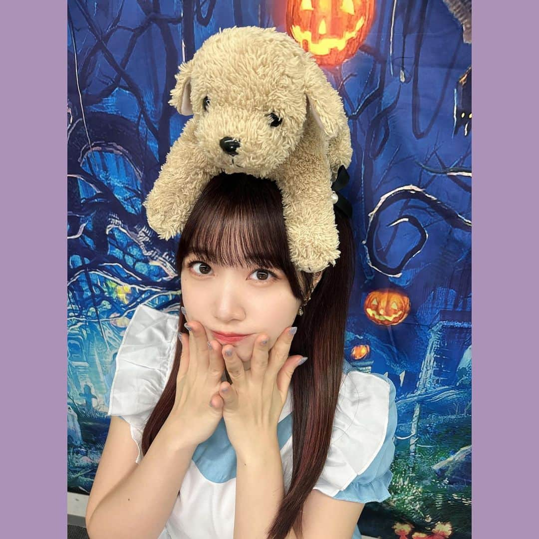 桜野羽咲さんのインスタグラム写真 - (桜野羽咲Instagram)「❤︎ ⁡ ⁡ 𝓗𝓐𝓟𝓟𝓨  𝓗𝓐𝓛𝓛𝓞𝓦𝓔𝓔𝓝 ⁡ ⁡  ▸▸▸ 迷子のアリス ⁡ ⁡ ⁡ ⁡ ┈ ┈ ┈ ┈ ┈ ┈ ┈ ┈ ┈ ┈ ⁡ ■生誕ワンマンライブ ⁡ 2024年1月20日(土)  18:00 開場 / 18:30 開演 at Spotify O-nest ⁡ 桜野羽咲生誕記念ワンマンライブ 「羽咲中毒 - SONG EATER -」開催 ⁡ ⁡ “ 歌喰い ” ⁡ この想い 一つで生きていける それくらいの輝きだ なにも見えなくするくらいの ⁡ それこそ呪いだ ⁡ 🏷️#おめでとうーちゃん2024 ⁡ ┈ ┈ ┈ ┈ ┈ ┈ ┈ ┈ ┈ ┈ ⁡ ■ライブ/イベント情報 ⁡ ○ 11/3(金) at Veats Shibuya  「突然ブンカ祭！！」 🎫tiget.net/events/279796 🔗arcana-project.com/contents/686384 ⁡ ○11/4(土) at Spotify O-nest 「#dotyellfes PREMIUM vol.2」 🎫 t.livepocket.jp/e/premium_2_2 ⁡ ○11/5(日) at Spotify O-nest 「ARCANA PROJECT FANMEETING LIVE Vol.13」 🎫 https://arcana-project.com/contents/678824 ⁡ ○ 11/20(月) at Spotify O-Crest 　桜野羽咲ソロ出演 「草野華余子 presents "with mutual feelings"」振替公演 この日のためだけの書き下ろしソロ曲を作っていただきます。✨ 🎫https://eplus.jp/sf/detail/3340420002 ⁡ ○ 11/22(水) at 高円寺HIGH 「ACE of CUPS vol.8」 🎫 https://dearstage.zaiko.io/ja/item/360490 ⁡ ○ 11/23(木祝) at秋葉原ディアステージ 「#アルカナラーメン部」 ディアステ飯店 歓迎光臨 vol.6  🎫 https://t.livepocket.jp/e/n_8po ⁡ ⁡ ┈ ┈ ┈ ┈ ┈ ┈ ┈ ┈ ┈ ┈」10月31日 20時49分 - sakuranousa