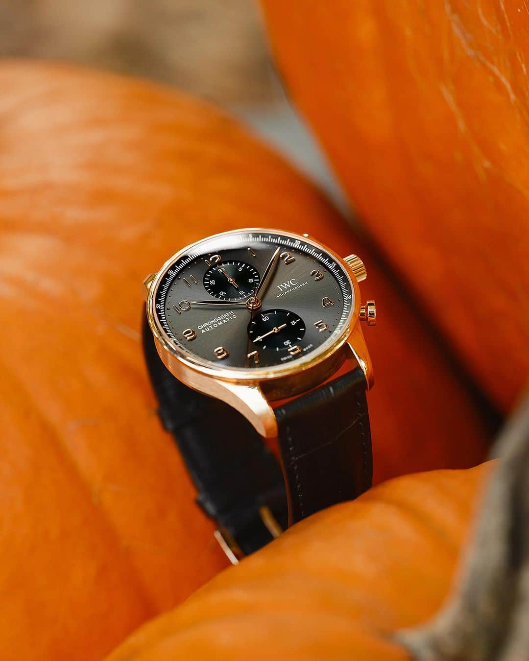 IWC Schaffhausen - Japanのインスタグラム：「Happy Halloween 🎃 #iwcwatches」