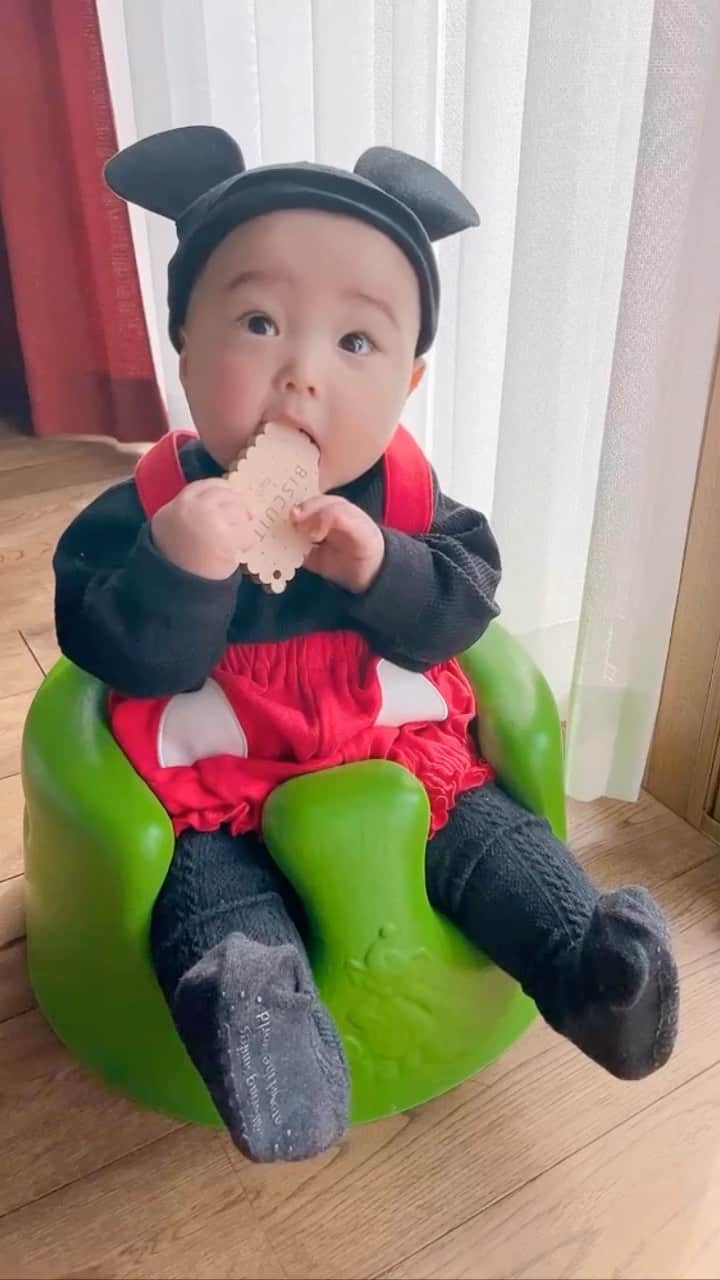 Kozue Kawabeのインスタグラム：「Happy Halloween♡  時間なくて0歳で着たミッキーマウス引っ張り出しました！ 0歳の時のみたら可愛すぎた…。でも今のサイズ感もたまらなく可愛い♡ 2.3歳が可愛い盛りと言われる理由を痛感しています。話せだせて、小さい人間感増して、すごく可愛い毎日です♡ ただイヤイヤ期のレベルアップにはお手上げー！！笑」