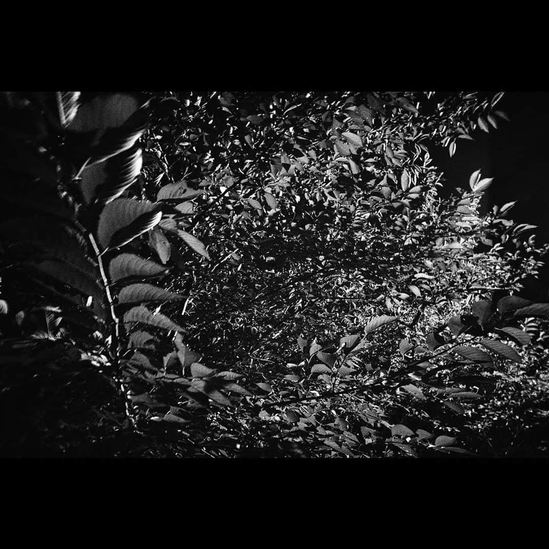 Tatsuo Suzukiさんのインスタグラム写真 - (Tatsuo SuzukiInstagram)「Hi folks, @felipe_lima_mirror here.  Today I have the great pleasure to post Tatsuo Suzuki, a heavyweight master of photography: “Born in 1965 in Tokyo. Living in Tokyo today. Started shooting in 2008. My aim to shoot the street is to show how the world is beautiful, interesting, wonderful and sometimes cruel. By means of photography and through my own eyes with my gear.  I am so happy and glad when someone feels some emotion when they see my shots”.  Tatsuo, thanks for sharing it with us!⠀⠀ ⠀⠀ 🔻🔺🔻🔺🔻🔺🔻🔺🔻🔺⠀ ⠀⠀ 🔍Selected by @felipe_lima_mirror ⠀ Tag #street_avengers to be featured⠀⠀ #street_avengers_tatsuo_suzuki 🔻🔺🔻🔺🔻🔺🔻🔺🔻🔺⠀ We recommend our friend collectives: @van_spc @thepictorial.list @street_macadam @streetphotographybrazil @rroma.street  🔻🔺🔻🔺🔻🔺🔻🔺🔻🔺 Our media partners: @trevisophotographicfestival @streetlife.podcast @effe4.0  🔻🔺🔻🔺🔻🔺🔻🔺🔻🔺  ⠀⠀ #rromastreet  #SPi_Collective  #TDMMAG  #sublimestreet  #ig_street #eyeshotmag #life_is_street #sweetnesday #streets_storytelling  #ourstreets  #capturestreets  #effe4.0 #street_macadam  #streetsgrammers #bnw_demand #bnw_badass #pictoriallist #dreaminstreets #urbanandstreet #colourstreetphotography  #bcncollective #eyephotomagazine #thestreetphers #burnmyeye #streetphotographybrazil #yngkillers #dpsp_street #mydaidia」10月31日 19時30分 - tatsuo_suzuki_001
