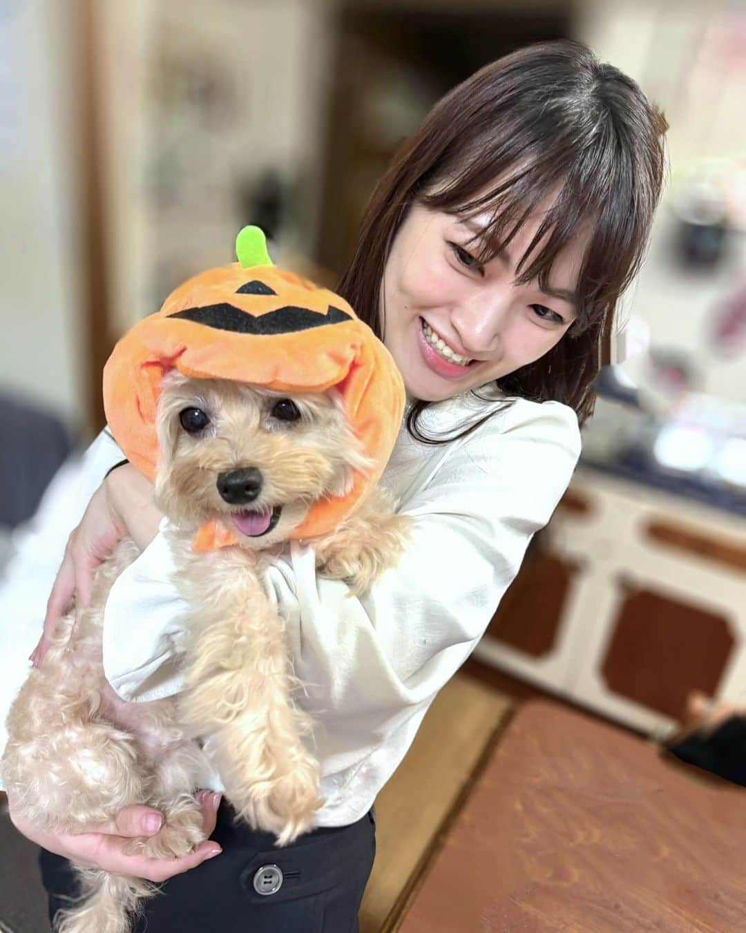 木村カレンさんのインスタグラム写真 - (木村カレンInstagram)「🐶🎃 . 毎年お付き合いいただいております。 . . . . #ハロウィン #ハロウィーン #ハロウィン犬 #被り物 #嫌がらない #取ろうとすると怒る」10月31日 19時33分 - karen_kimura__