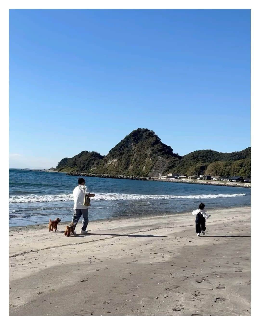 高山直子のインスタグラム：「家族旅行🐶🐶👨🏻👧🏻👩🏻‍🦰 お散歩がてら立ち寄った海岸でハッスルしたり帰りにふらっと寄ったマザー牧場で乗馬できたりと、数ヶ月でさらに成長を感じた1泊2日👧🏻 涼しくなって🐶🐶もビーチで思いっきり走り回って全員リフレッシュ！ 自炊できるヴィラで、今回ごはん付けずに料理したので母だけは疲労困憊だけど😮‍💨笑（海で走って宿で料理して今日も超歩いた😂） 子たち全員が楽しめたからそれでよし🙆‍♀️  #家族旅行 #犬連れ旅行」