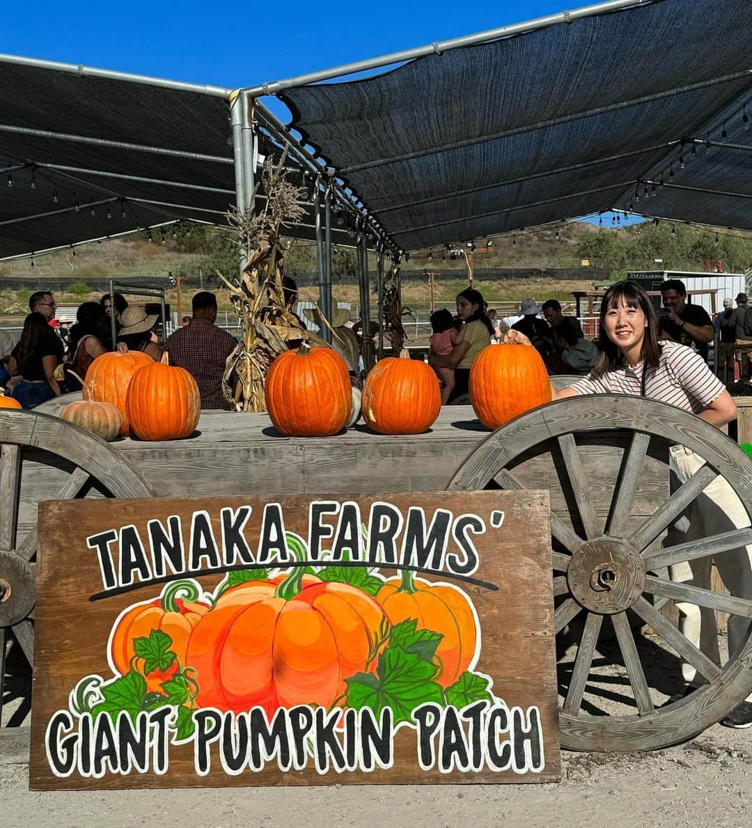 尾上彩さんのインスタグラム写真 - (尾上彩Instagram)「PUMPKIN PATCH🎃🥕 ・ ・ ・ #halloween #pumpkinpatch」10月31日 19時39分 - aya_onoe