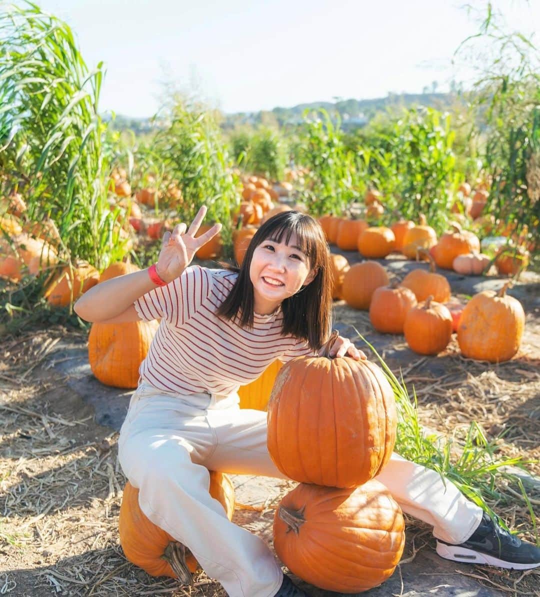 尾上彩のインスタグラム：「PUMPKIN PATCH🎃🥕 ・ ・ ・ #halloween #pumpkinpatch」