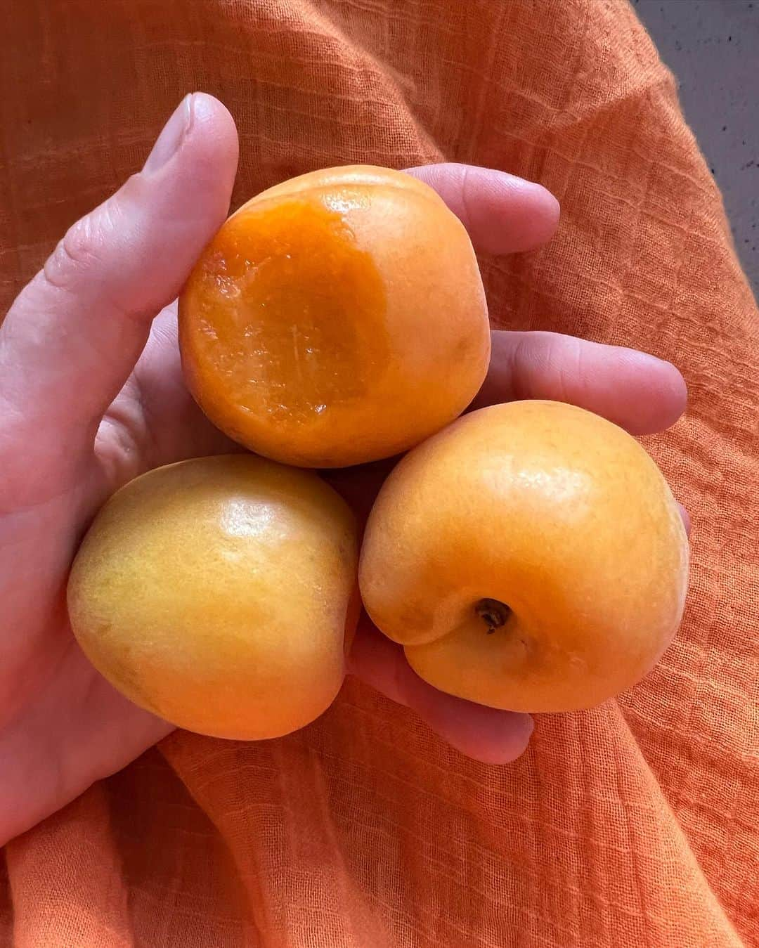 ローラ・エンバーさんのインスタグラム写真 - (ローラ・エンバーInstagram)「Merci pour les souvenirs 🍑🍊❤️‍🔥 @cariuma shoes」10月31日 19時46分 - lauraenever