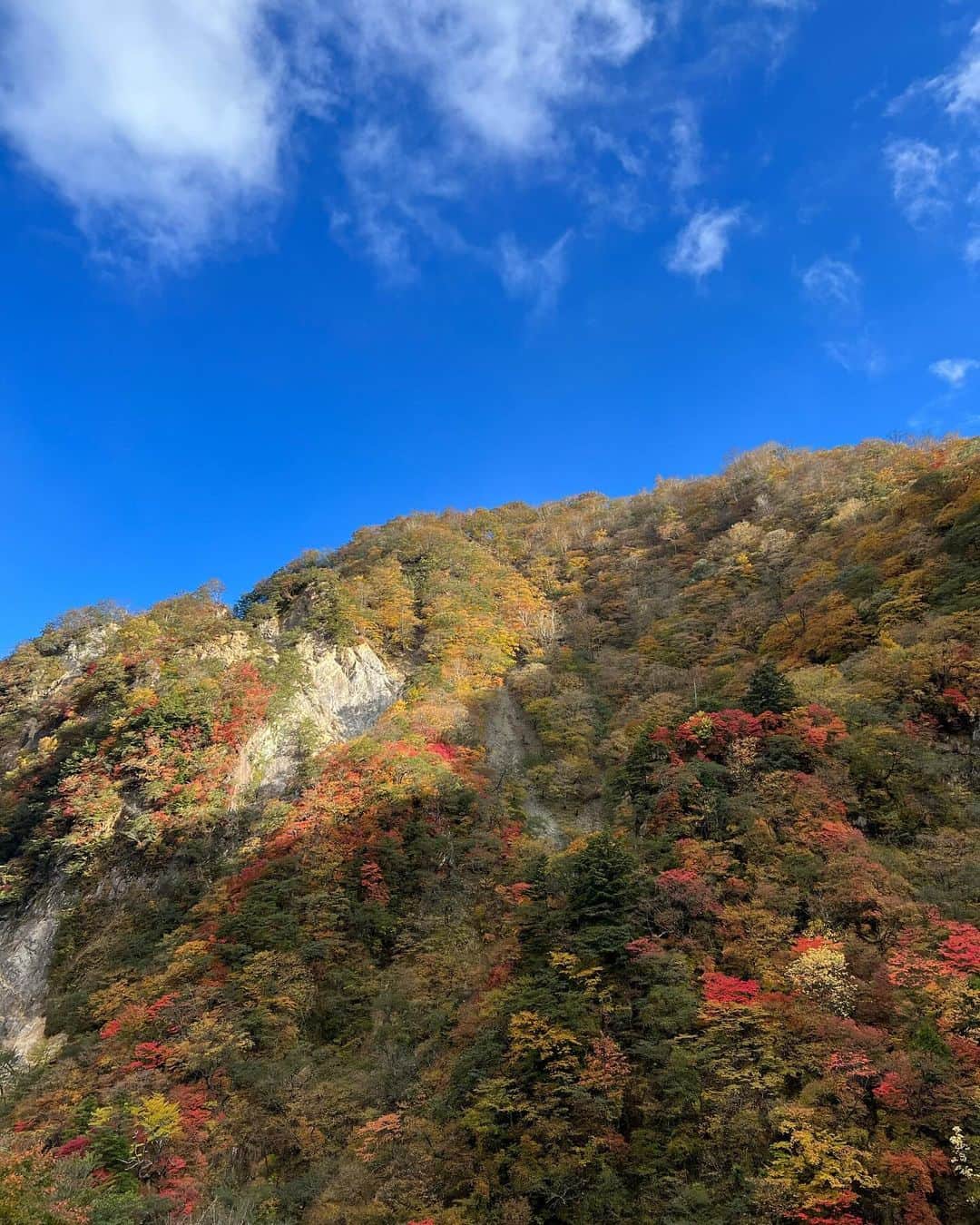 小室ゆらさんのインスタグラム写真 - (小室ゆらInstagram)「. ⁡ ⁡ 群馬の名物、わ鐵🚂◎ 渓谷の紅葉も色付いてて綺麗だった~！！ ⁡ ⁡ さてさて今日はハロウィンです👻 みんなは何するの、？ ⁡ ⁡ #わたらせ渓谷鐵道 #紅葉 ⁡ ⁡ .」10月31日 19時48分 - komuro_yura_official