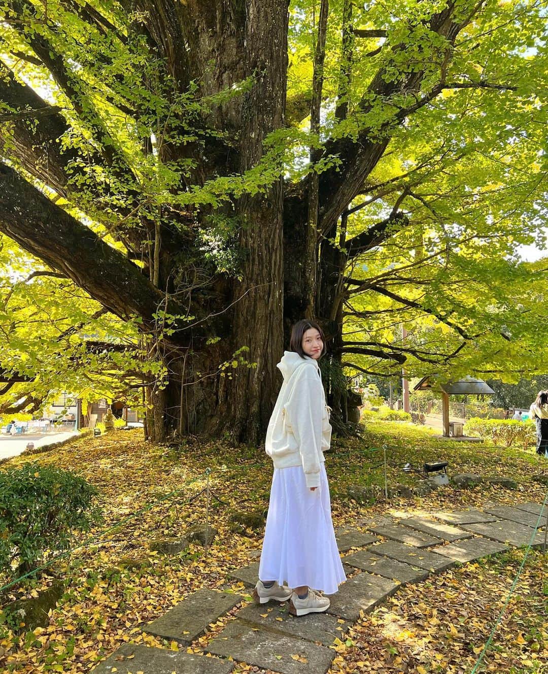 今田美奈さんのインスタグラム写真 - (今田美奈Instagram)「_ まだ少し早いけど山の方は少しずつ色づいてました🧡 明日から11月、今年も残り2ヶ月なんですね〜 あっという間だな… 11月12日には福岡でイベントもあるし久しぶりに皆さんに会えるので楽しみです^_^🎶 　　 季節の変わり目なので風邪に気をつけてネ〜𓍣」10月31日 19時48分 - _minaimd.j_