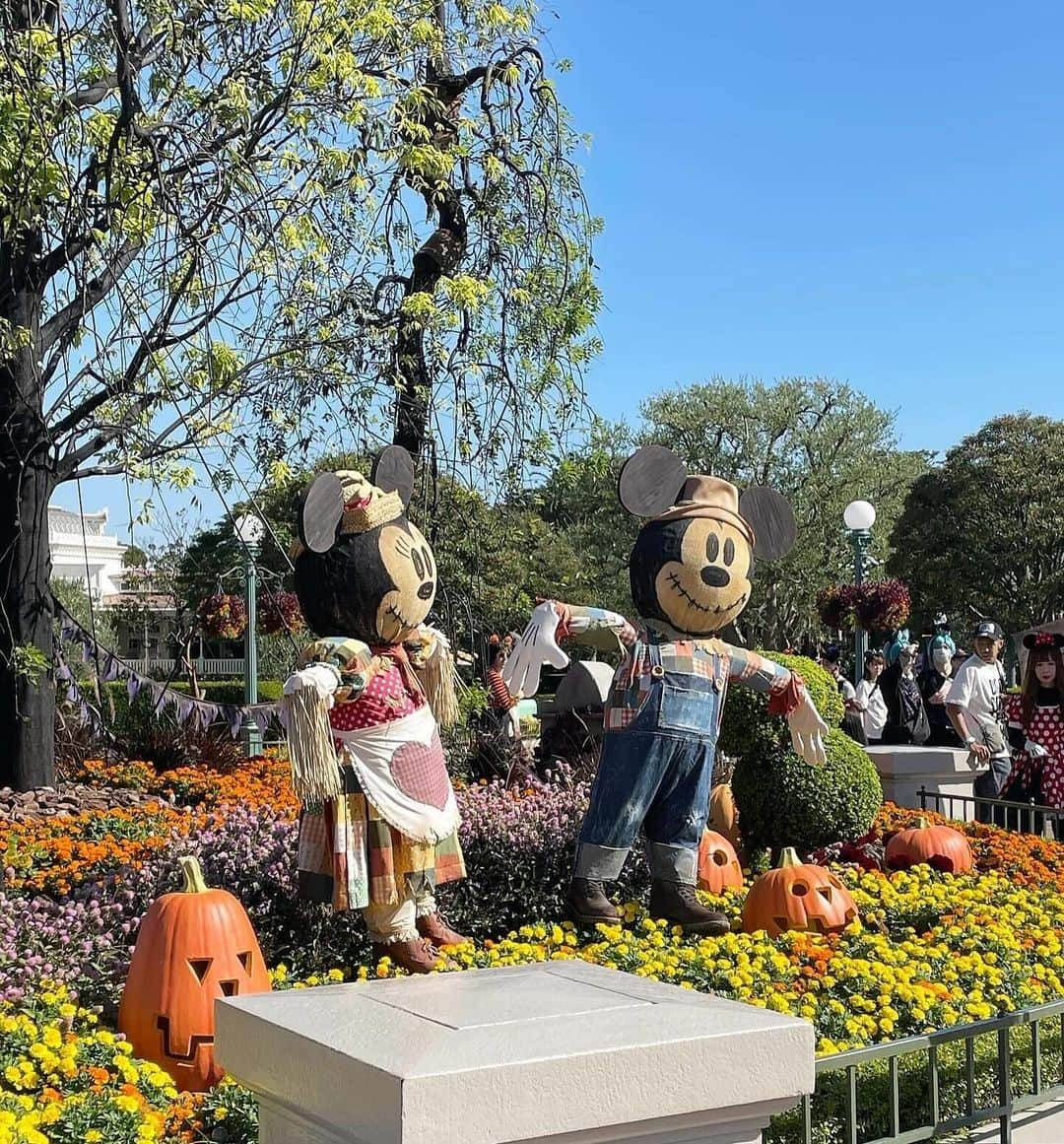 杉本雛乃さんのインスタグラム写真 - (杉本雛乃Instagram)「Happy halloween 🎃👻🐭」10月31日 19時48分 - hinano_sugimoto