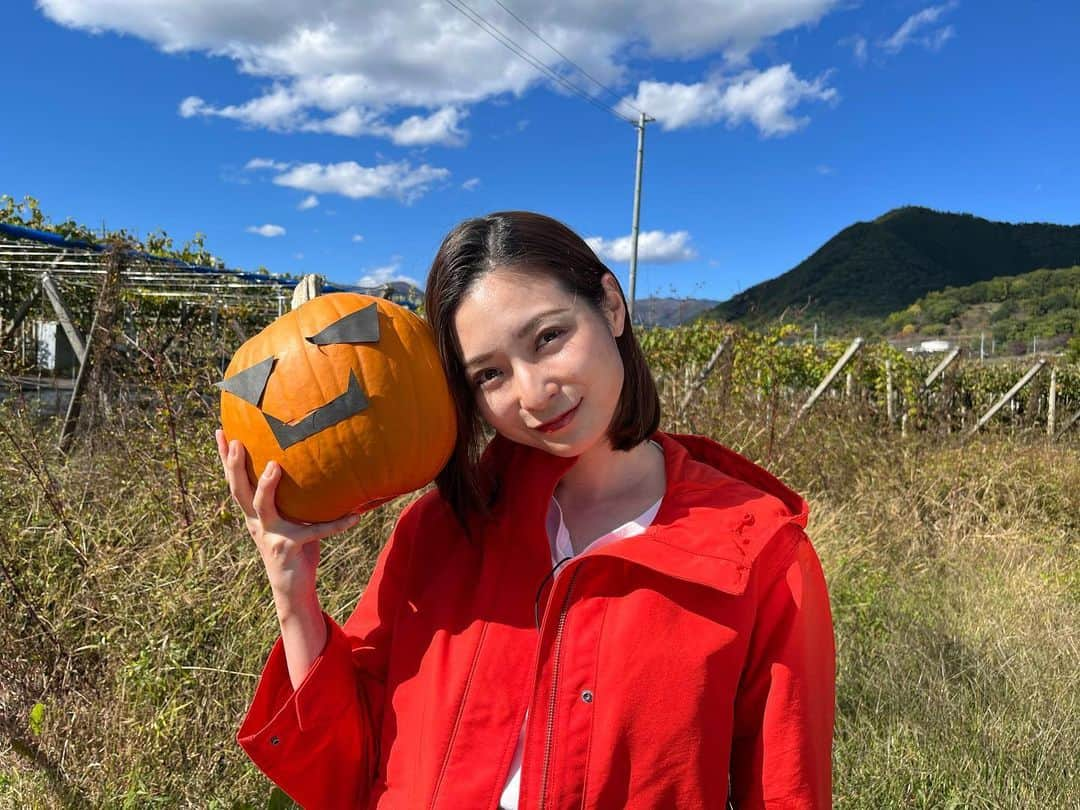 テレビ朝日「グッド！モーニング」のインスタグラム：「「天空かぼちゃ」を取材しました🎃 甘くて美味しくて、 教えていただいたレシピで作ったモーニングセットを食べる手が止まりませんでした  #グッドモーニング#あらいーな #天空かぼちゃ#かぼちゃ#🎃#pumpkin」