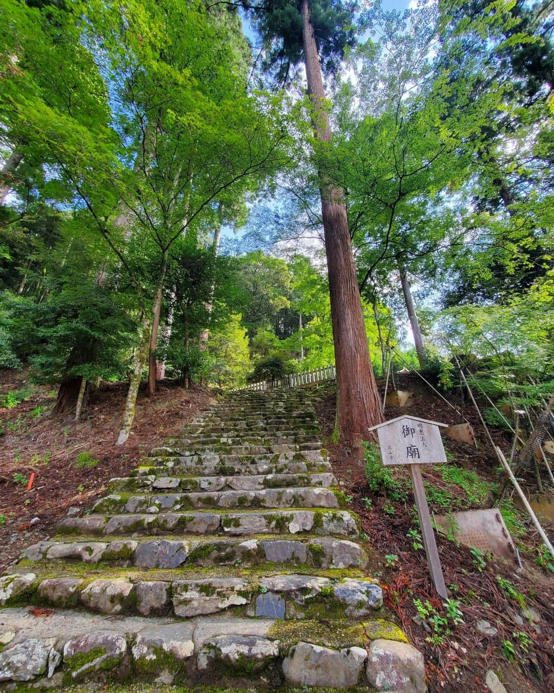 小谷津友里さんのインスタグラム写真 - (小谷津友里Instagram)「日本最古の茶園である高山寺でお抹茶をいただきます🍵😋  9月中旬の京都旅、時差投稿でお届けしてます🤍  高山寺では日本最古のマンガと言われている 有名な鳥獣人物戯画を見られるよ！ 鳥獣人物戯画は写真NGだったけど お土産にクリアファイルを買ったので載せとく🐰 筆で描かれたモノクロでコミカルな絵が素敵だな☺️  お茶と一緒に写ってるポストカードは 世界遺産検定1級をもってると 貰えるの☺️沢山勉強したご褒美や～笑  高山寺は 京都駅からはバスで５５分くらい！ 少し距離があるけど 朝イチで高山寺に行ったあと バスで南下して龍安寺や金閣寺があるエリアに行ったら 効率よく観光できたよ🚌  高山寺は紅葉が綺麗な場所でもあるので そのシーズンにも行ってみたいな🍁  #京都 #高山寺 #京都旅 #ひとり旅 #世界遺産 #京都観光 #kyoto #世界遺産検定 #世界遺産検定1級 #紅葉 #鳥獣戯画 #国内旅行 #japan #抹茶 #鳥獣人物戯画 #kosanji #temple #お茶 #国宝 #世界文化遺産 #こやゆり旅 #こやゆりフード」10月31日 19時54分 - yurikoyatsu