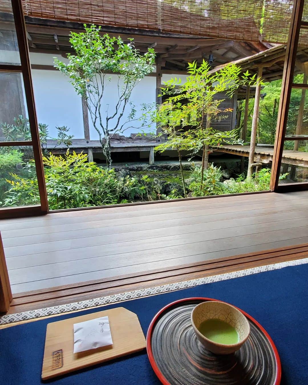 小谷津友里さんのインスタグラム写真 - (小谷津友里Instagram)「日本最古の茶園である高山寺でお抹茶をいただきます🍵😋  9月中旬の京都旅、時差投稿でお届けしてます🤍  高山寺では日本最古のマンガと言われている 有名な鳥獣人物戯画を見られるよ！ 鳥獣人物戯画は写真NGだったけど お土産にクリアファイルを買ったので載せとく🐰 筆で描かれたモノクロでコミカルな絵が素敵だな☺️  お茶と一緒に写ってるポストカードは 世界遺産検定1級をもってると 貰えるの☺️沢山勉強したご褒美や～笑  高山寺は 京都駅からはバスで５５分くらい！ 少し距離があるけど 朝イチで高山寺に行ったあと バスで南下して龍安寺や金閣寺があるエリアに行ったら 効率よく観光できたよ🚌  高山寺は紅葉が綺麗な場所でもあるので そのシーズンにも行ってみたいな🍁  #京都 #高山寺 #京都旅 #ひとり旅 #世界遺産 #京都観光 #kyoto #世界遺産検定 #世界遺産検定1級 #紅葉 #鳥獣戯画 #国内旅行 #japan #抹茶 #鳥獣人物戯画 #kosanji #temple #お茶 #国宝 #世界文化遺産 #こやゆり旅 #こやゆりフード」10月31日 19時54分 - yurikoyatsu