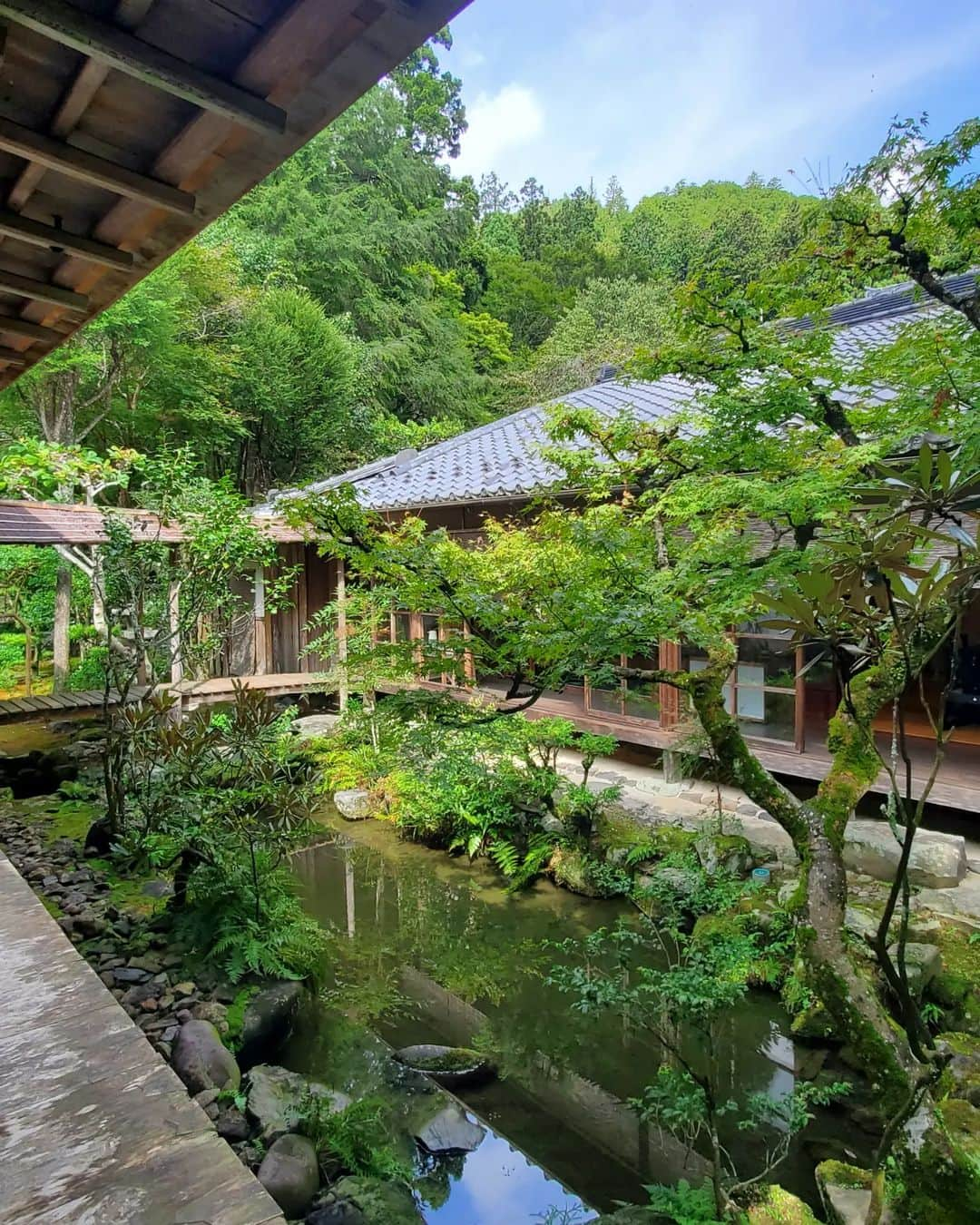 小谷津友里さんのインスタグラム写真 - (小谷津友里Instagram)「日本最古の茶園である高山寺でお抹茶をいただきます🍵😋  9月中旬の京都旅、時差投稿でお届けしてます🤍  高山寺では日本最古のマンガと言われている 有名な鳥獣人物戯画を見られるよ！ 鳥獣人物戯画は写真NGだったけど お土産にクリアファイルを買ったので載せとく🐰 筆で描かれたモノクロでコミカルな絵が素敵だな☺️  お茶と一緒に写ってるポストカードは 世界遺産検定1級をもってると 貰えるの☺️沢山勉強したご褒美や～笑  高山寺は 京都駅からはバスで５５分くらい！ 少し距離があるけど 朝イチで高山寺に行ったあと バスで南下して龍安寺や金閣寺があるエリアに行ったら 効率よく観光できたよ🚌  高山寺は紅葉が綺麗な場所でもあるので そのシーズンにも行ってみたいな🍁  #京都 #高山寺 #京都旅 #ひとり旅 #世界遺産 #京都観光 #kyoto #世界遺産検定 #世界遺産検定1級 #紅葉 #鳥獣戯画 #国内旅行 #japan #抹茶 #鳥獣人物戯画 #kosanji #temple #お茶 #国宝 #世界文化遺産 #こやゆり旅 #こやゆりフード」10月31日 19時54分 - yurikoyatsu