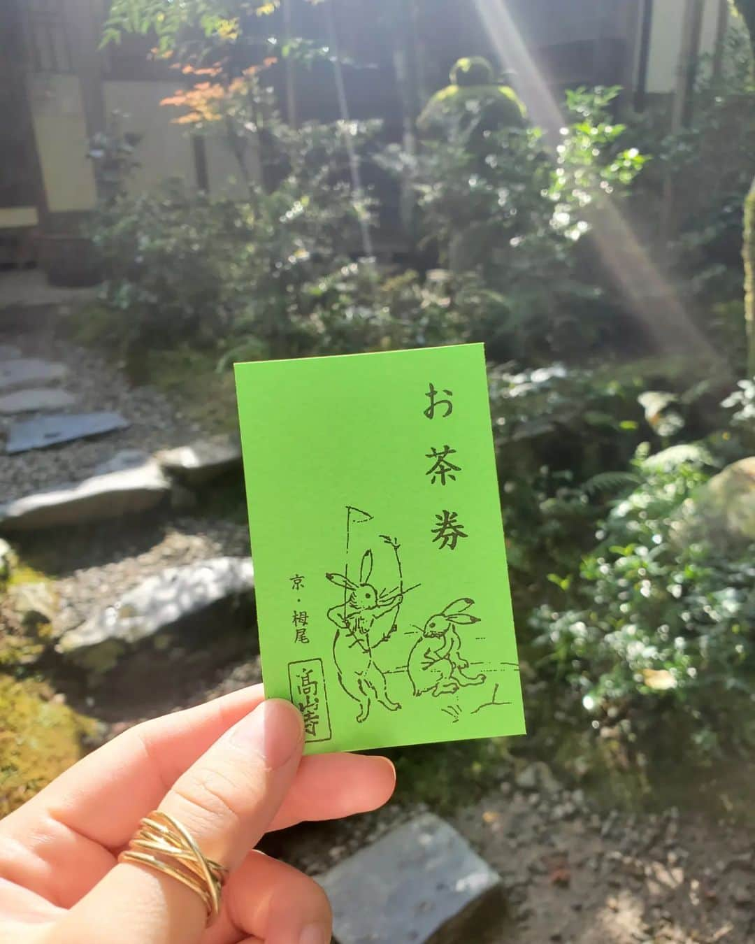 小谷津友里さんのインスタグラム写真 - (小谷津友里Instagram)「日本最古の茶園である高山寺でお抹茶をいただきます🍵😋  9月中旬の京都旅、時差投稿でお届けしてます🤍  高山寺では日本最古のマンガと言われている 有名な鳥獣人物戯画を見られるよ！ 鳥獣人物戯画は写真NGだったけど お土産にクリアファイルを買ったので載せとく🐰 筆で描かれたモノクロでコミカルな絵が素敵だな☺️  お茶と一緒に写ってるポストカードは 世界遺産検定1級をもってると 貰えるの☺️沢山勉強したご褒美や～笑  高山寺は 京都駅からはバスで５５分くらい！ 少し距離があるけど 朝イチで高山寺に行ったあと バスで南下して龍安寺や金閣寺があるエリアに行ったら 効率よく観光できたよ🚌  高山寺は紅葉が綺麗な場所でもあるので そのシーズンにも行ってみたいな🍁  #京都 #高山寺 #京都旅 #ひとり旅 #世界遺産 #京都観光 #kyoto #世界遺産検定 #世界遺産検定1級 #紅葉 #鳥獣戯画 #国内旅行 #japan #抹茶 #鳥獣人物戯画 #kosanji #temple #お茶 #国宝 #世界文化遺産 #こやゆり旅 #こやゆりフード」10月31日 19時54分 - yurikoyatsu