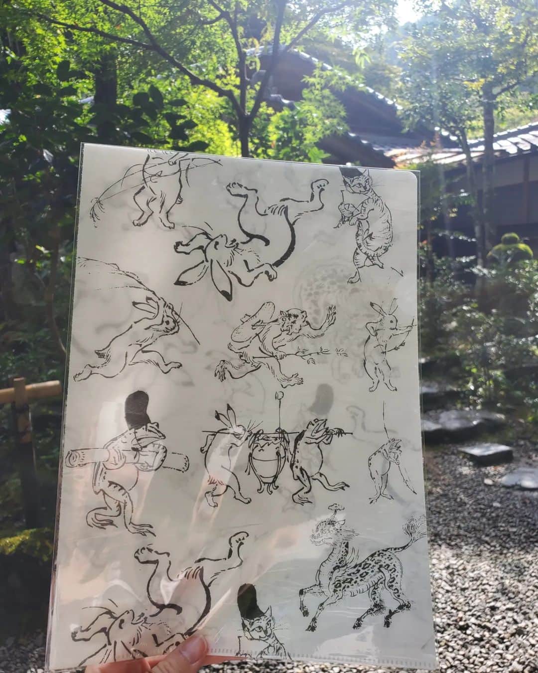 小谷津友里さんのインスタグラム写真 - (小谷津友里Instagram)「日本最古の茶園である高山寺でお抹茶をいただきます🍵😋  9月中旬の京都旅、時差投稿でお届けしてます🤍  高山寺では日本最古のマンガと言われている 有名な鳥獣人物戯画を見られるよ！ 鳥獣人物戯画は写真NGだったけど お土産にクリアファイルを買ったので載せとく🐰 筆で描かれたモノクロでコミカルな絵が素敵だな☺️  お茶と一緒に写ってるポストカードは 世界遺産検定1級をもってると 貰えるの☺️沢山勉強したご褒美や～笑  高山寺は 京都駅からはバスで５５分くらい！ 少し距離があるけど 朝イチで高山寺に行ったあと バスで南下して龍安寺や金閣寺があるエリアに行ったら 効率よく観光できたよ🚌  高山寺は紅葉が綺麗な場所でもあるので そのシーズンにも行ってみたいな🍁  #京都 #高山寺 #京都旅 #ひとり旅 #世界遺産 #京都観光 #kyoto #世界遺産検定 #世界遺産検定1級 #紅葉 #鳥獣戯画 #国内旅行 #japan #抹茶 #鳥獣人物戯画 #kosanji #temple #お茶 #国宝 #世界文化遺産 #こやゆり旅 #こやゆりフード」10月31日 19時54分 - yurikoyatsu