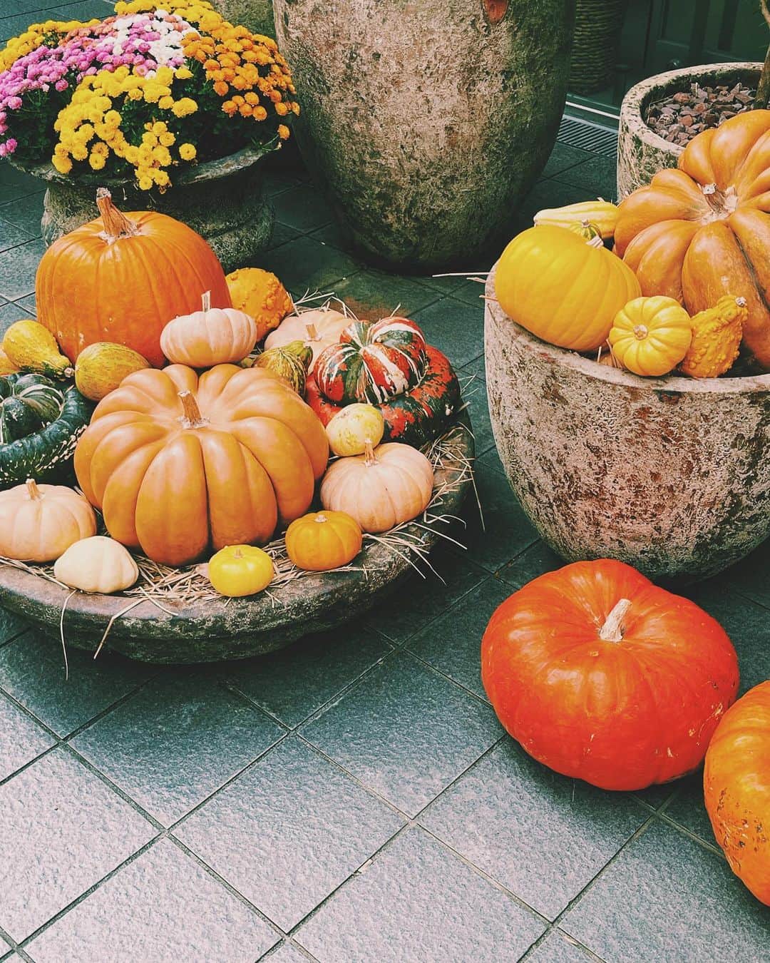 潘めぐみのインスタグラム：「💐🎃Happy Halloween🎃💐  私にとってのハロウィンは、大きくハロ嫁に占められている。  春から考えると、とっくのとうに一年が経っていたわけだけれど。  あの最後の待ち合わせから、早一年になるわけですものね。  聖地に、コラボに、リバイバル上映、心燃やした日々が懐かしい。  また、いつか、五年に一度、十年に一度でもいいから、映画館で上映されて欲しい、コナン映画の一つ。  一年経ってしまったのが信じられないという想いもありつつ  遥か昔のようにも感じるんですよね。  それは、この3〜4年全体的に。  はぁ〜…10月よ、終わらないで。」