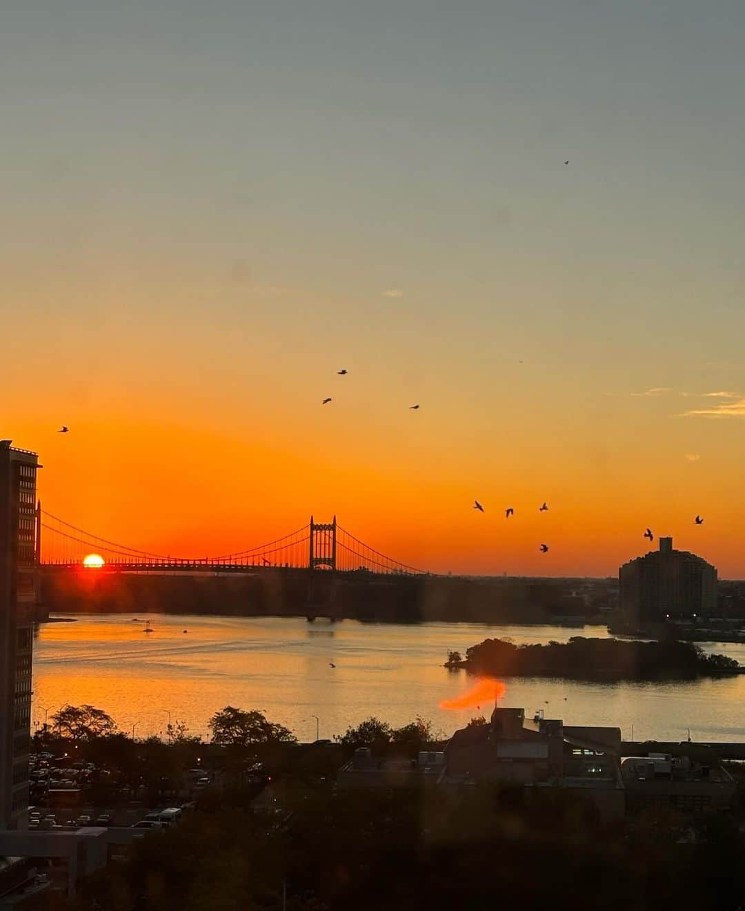 メラニー・サイクスさんのインスタグラム写真 - (メラニー・サイクスInstagram)「Hello all,    How I miss waking up to this view @saralincmarr 😍❤️  New York 🗽A new haven and a well of inspiration for me on this crazy beautiful planet. 🙏🏻   #horizon #newview #newyork #sunrise #birdsinflight  #newbeginnings   @ryanecunningham 🥰💫❤️」10月31日 20時08分 - msmelaniesykes