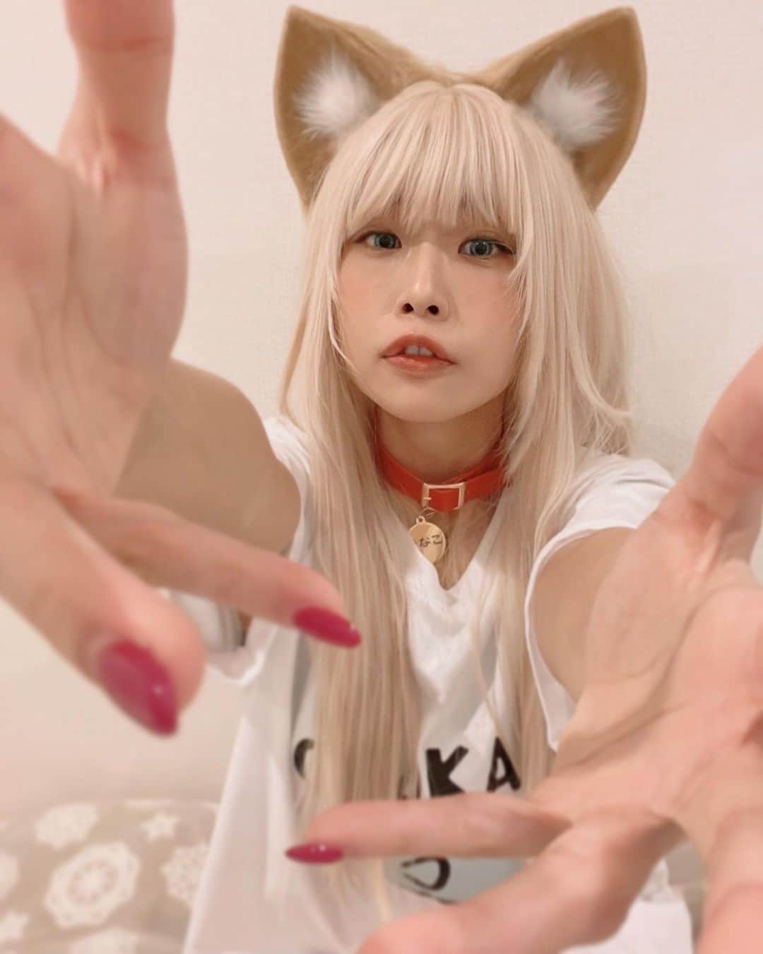 けちょんさんのインスタグラム写真 - (けちょんInstagram)「やっときなこちゃんのコスプレできたー！  髪の色ちょっと明るすぎてしまったけど  #うちのねこが女の子でかわいい #きなこ #コスプレ」10月31日 20時18分 - ke_chon