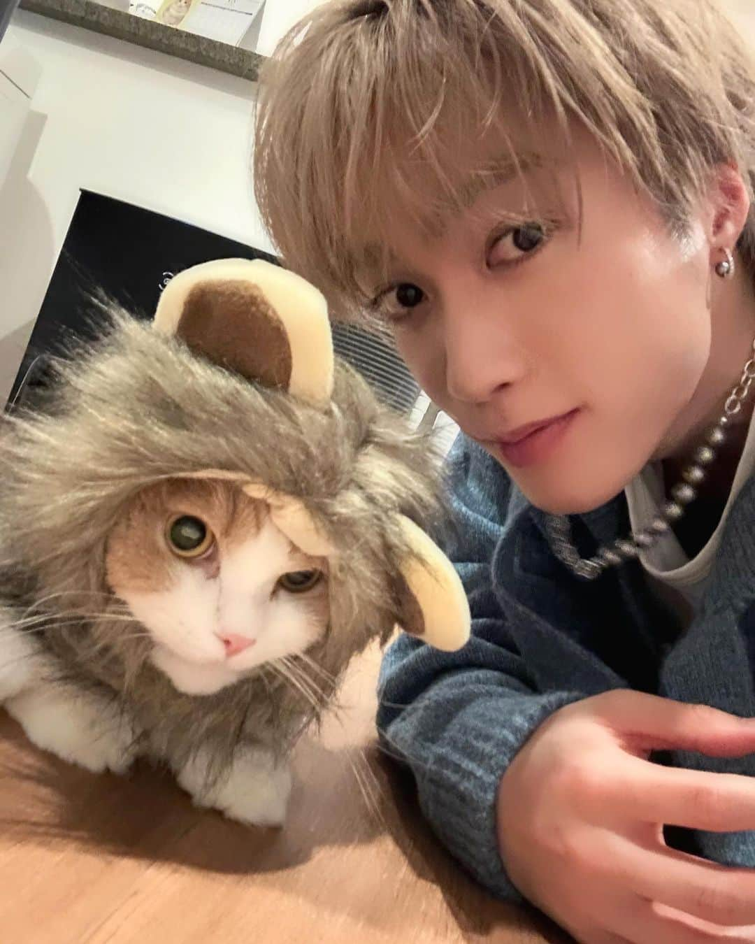 藤原樹さんのインスタグラム写真 - (藤原樹Instagram)「Happy Halloween🎃🐱🦁」10月31日 20時17分 - itsuki_fujiwara_official