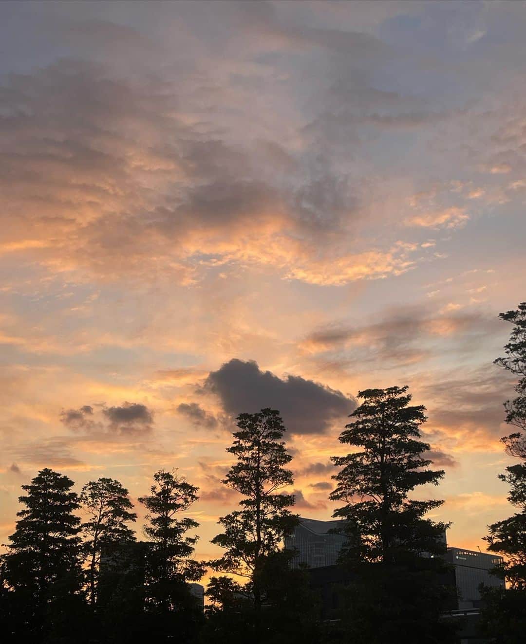 森みはるさんのインスタグラム写真 - (森みはるInstagram)「ワントーンコーデ🐏 韓国で買ったconverseの厚底ハイカットがお気に入りです🫶🏻  夕焼け綺麗すぎたな〜🌷」10月31日 20時27分 - miharu_mori