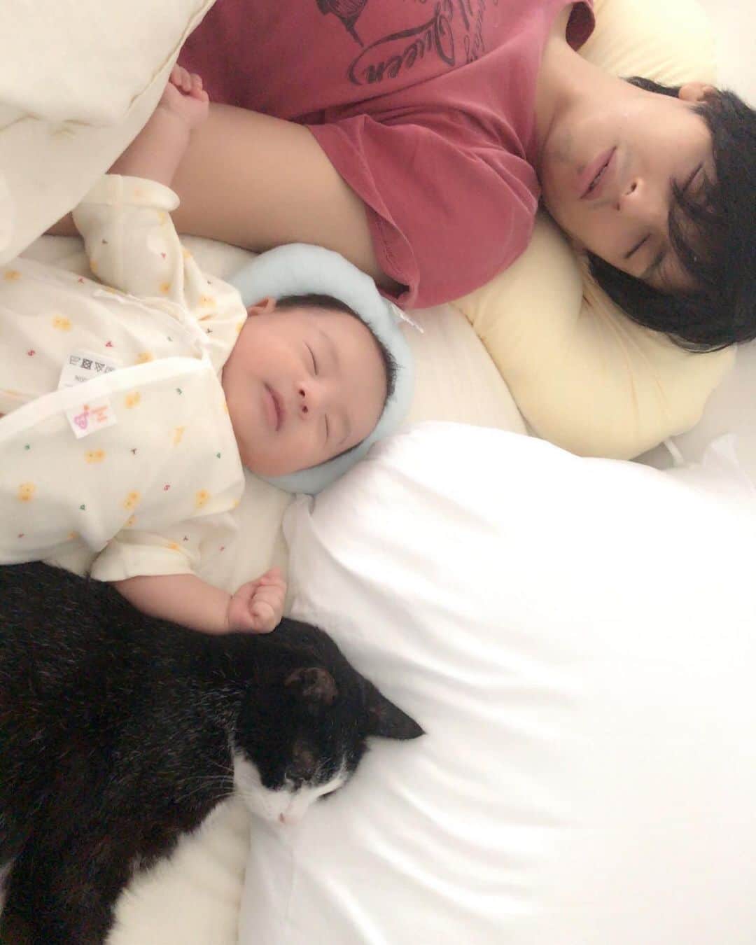 アレクサンダーのインスタグラム：「可愛いな😍 #坂本 #ねこ」