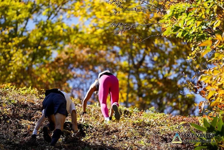 Natsuki（ナツキ）さんのインスタグラム写真 - (Natsuki（ナツキ）Instagram)「⛰️⛰️⛰️ ⛰️🍂 10/14... SKY VALLEY OZEIWAKURA🏃  傾斜45°の登り🤣 🐒の続き。  ホテル、"水上ジュラク"の 夜バイキングと朝バイキング𓌉𓇋 が めちゃくちゃおいしいの。😍  飲み過ぎ、‎食べすぎ、🍺 にて、、、  腹パン🐖で 吐きそう🤢になりながら のぼった。笑  ほんと🐎🦌🤣🤣🤣  #バーティカル #トレイルランニング #トレラン #尾瀬 #尾瀬岩鞍バーティカルキロメーター  #尾瀬岩鞍 #skyvalleyozeiwakura  #trailrunning  #training #workout #arcteryx」10月31日 20時22分 - natsukiii78