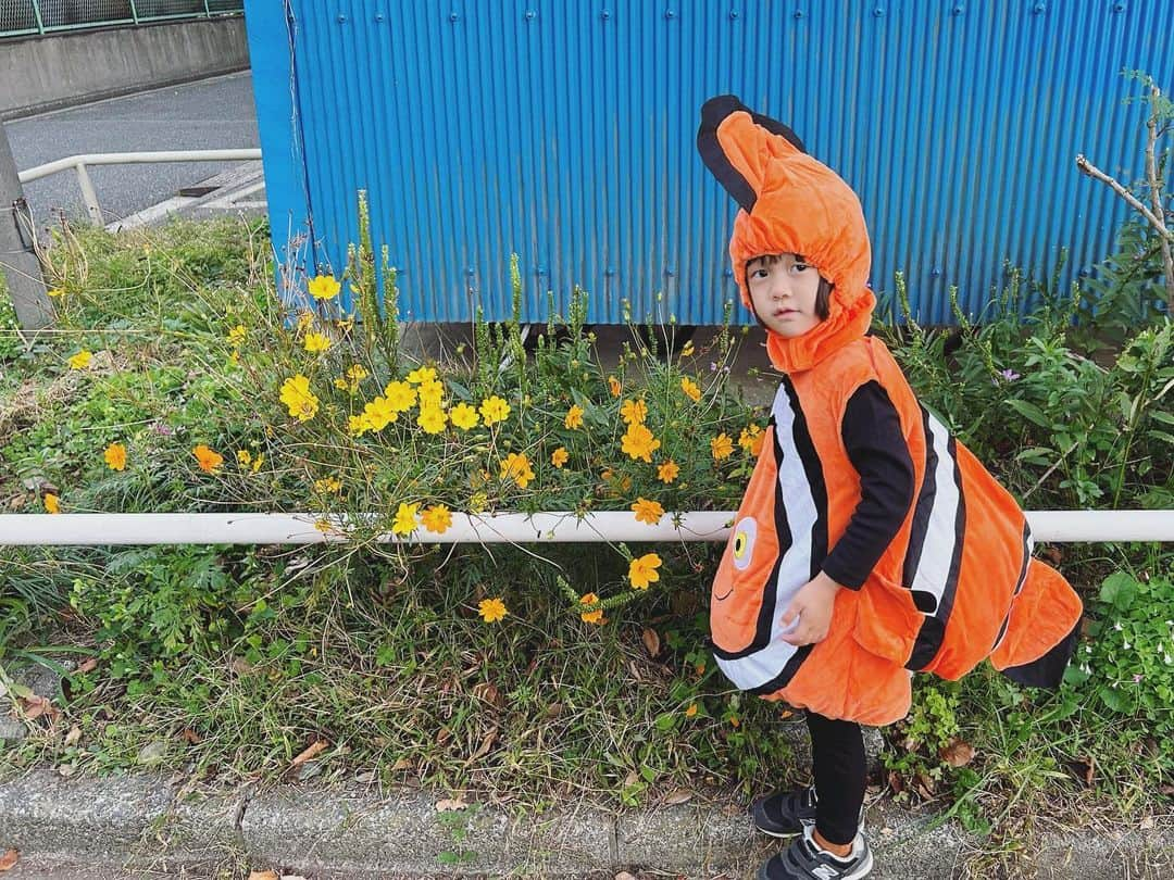 高見まなみさんのインスタグラム写真 - (高見まなみInstagram)「今年は昨年と同じニモ。 ニモのまま公園に行ったのがかわいかった。 このまま滑り台もしたよ。  たいちゃんは、すみっコとメロンパンナちゃんが好きなんだけど、そんな仮装はないのね😂  #4歳3ヶ月」10月31日 20時25分 - manami_takami