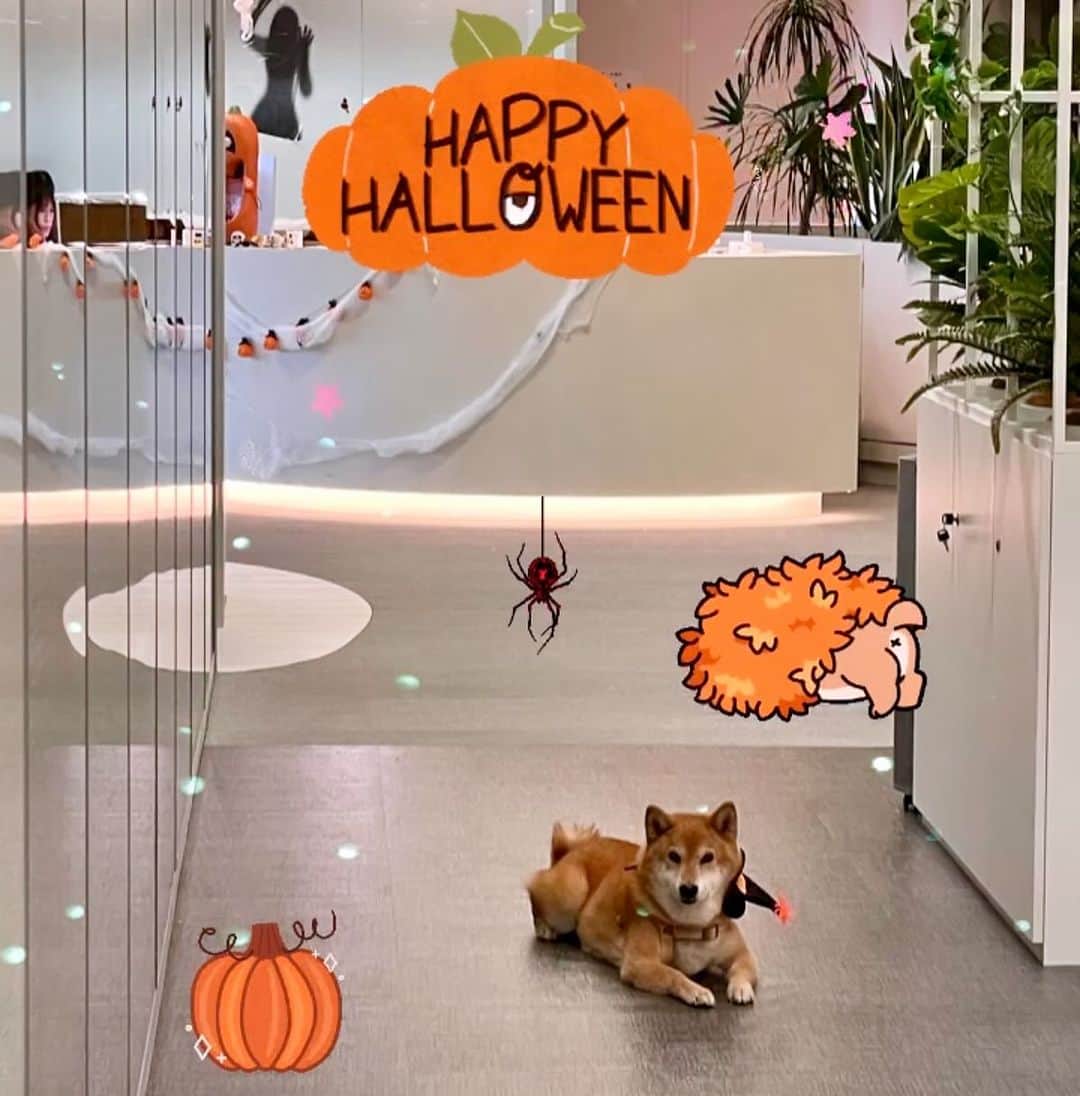 Coffeeのインスタグラム：「Happy Halloween 👻 🎃 #coffee_and_apple  #13歲咖啡」
